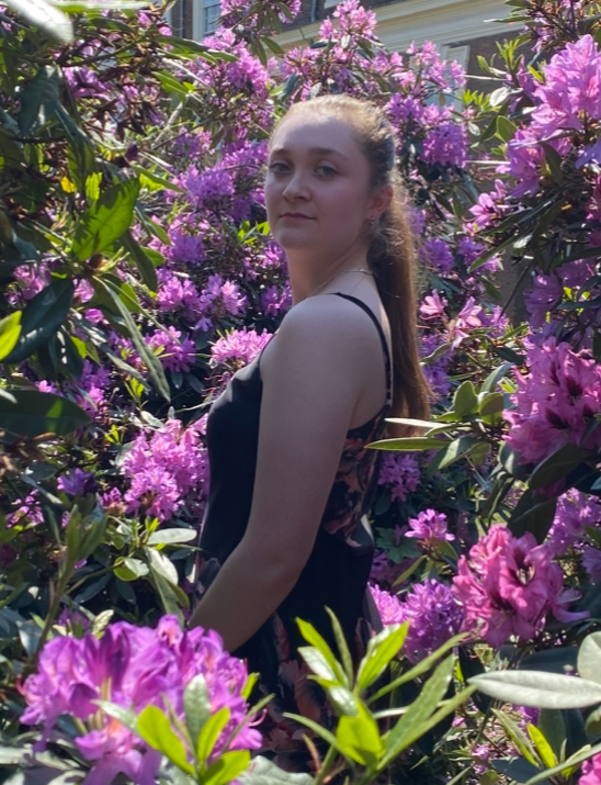 User Jennifer profile image