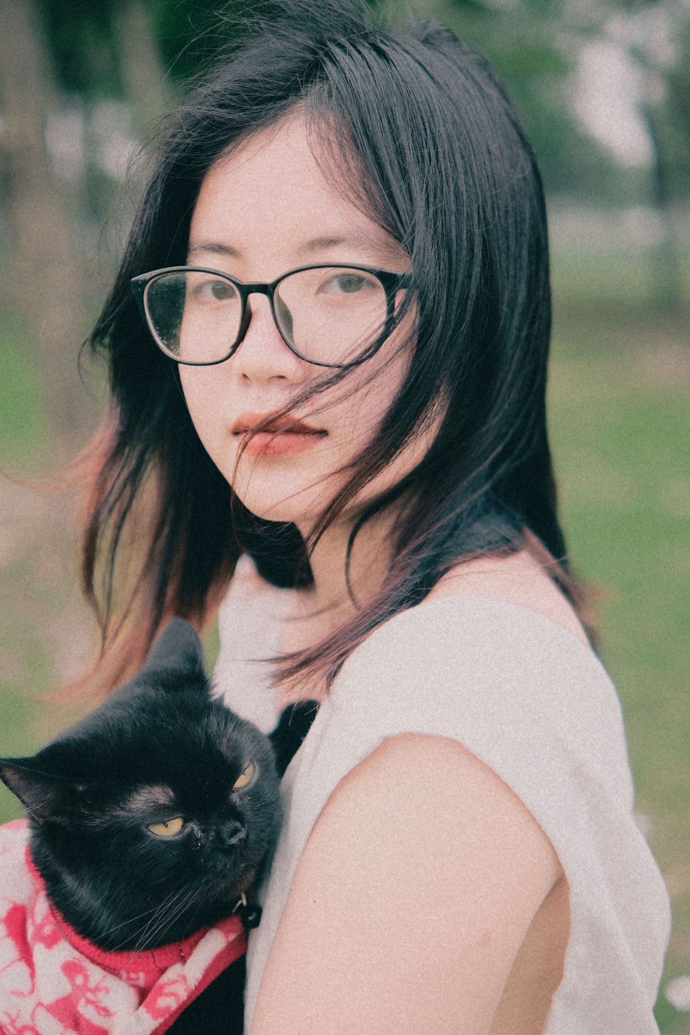 User Hải Anh profile image
