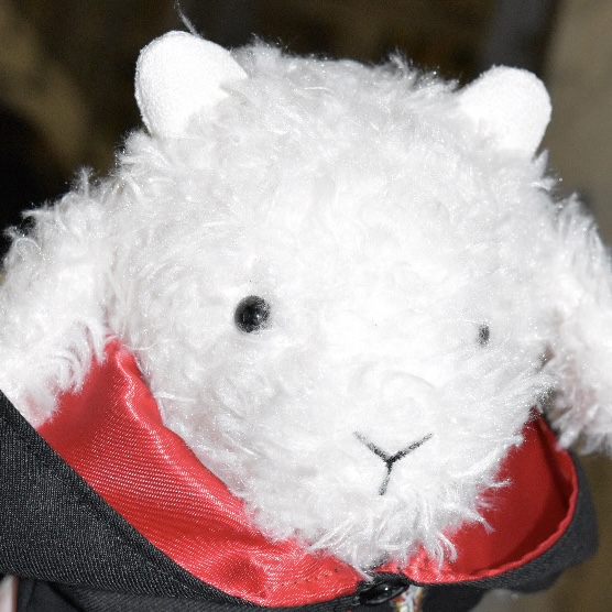 User YANG profile image