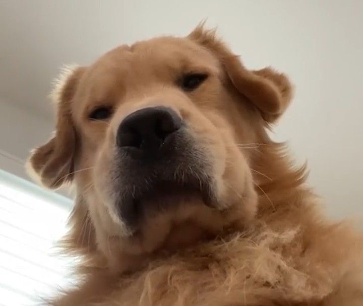 User เทพฤทธิ์ profile image