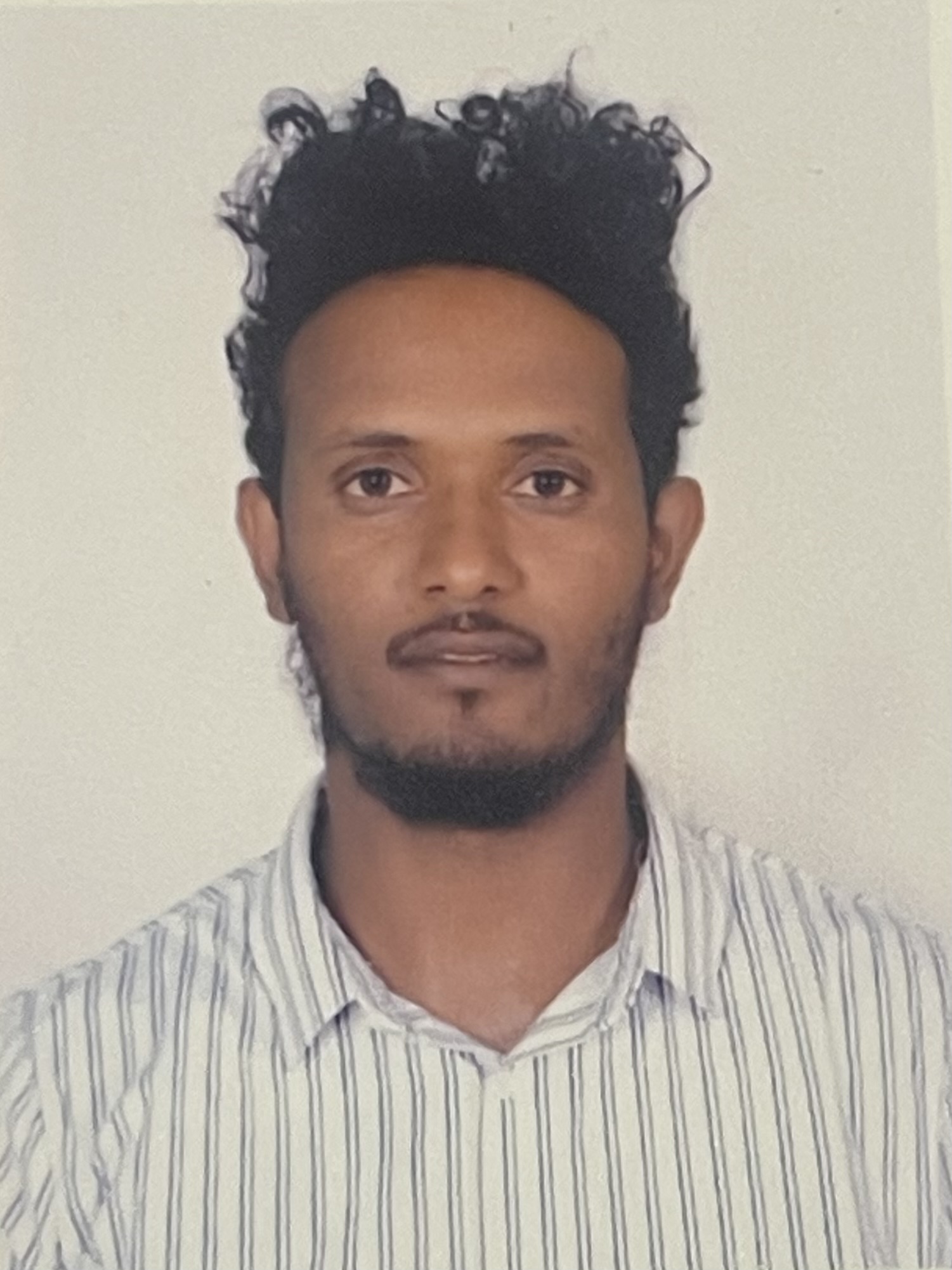 User Girum profile image