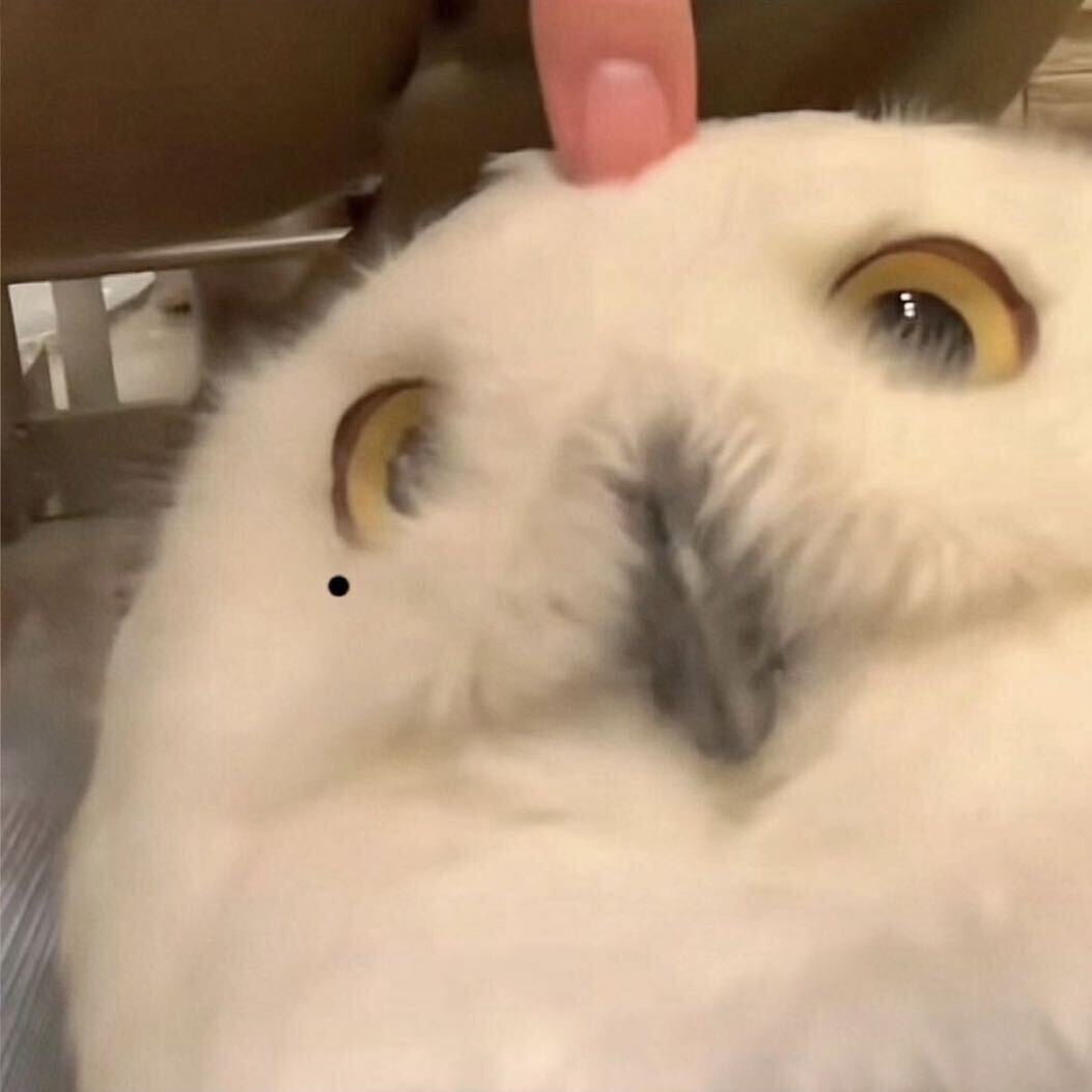 User JIANING profile image