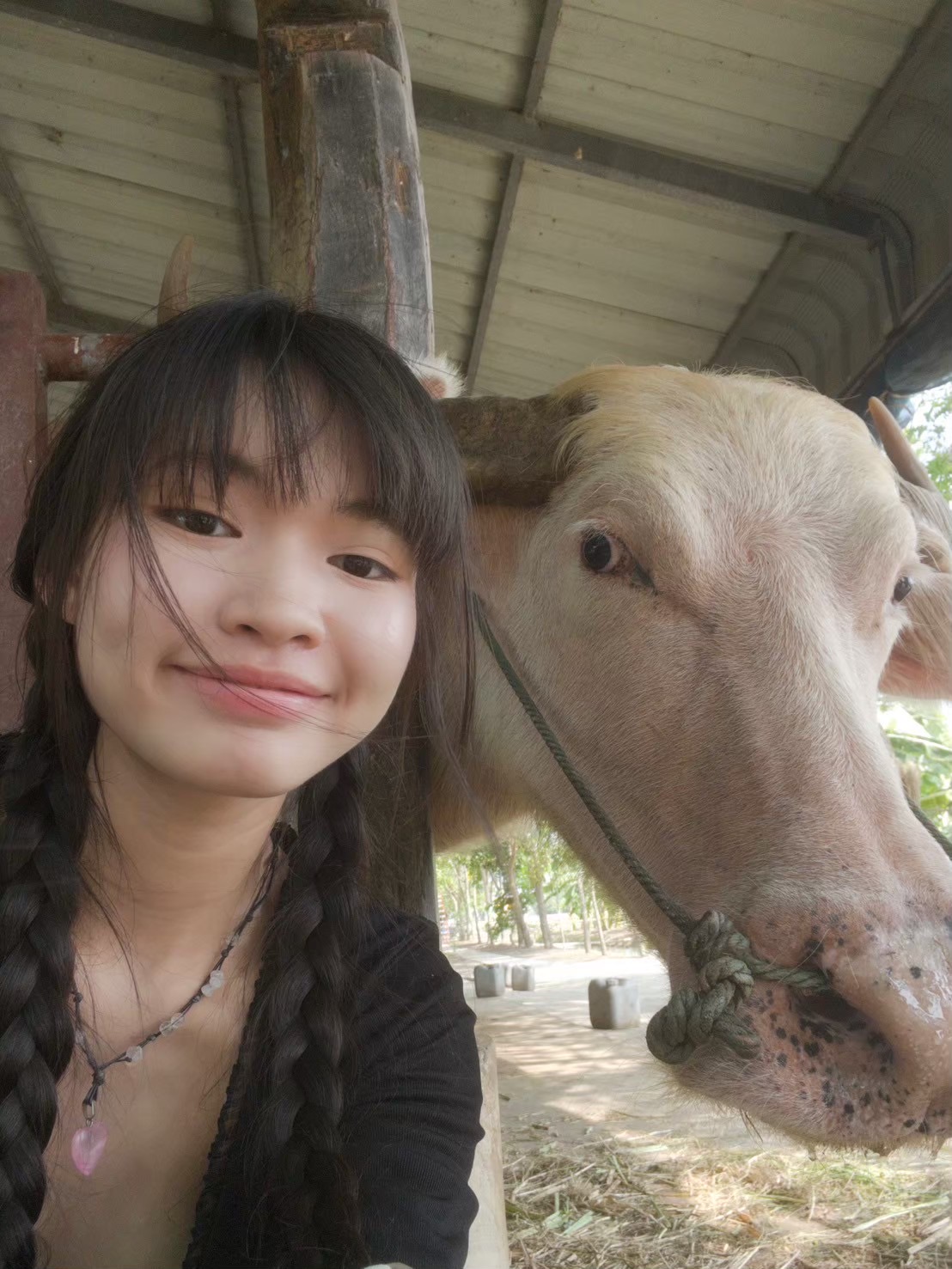 User Narinthip profile image