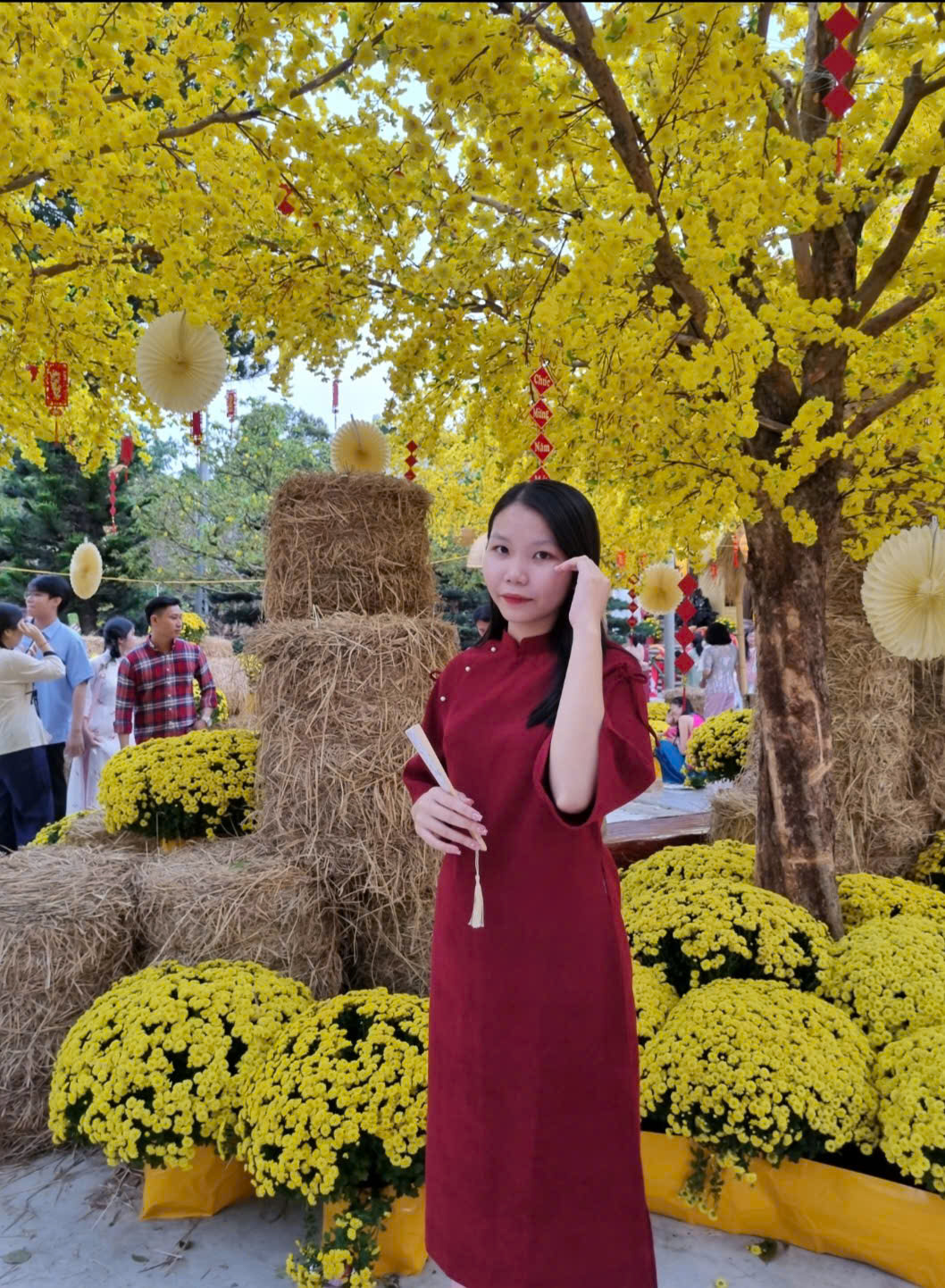 User Nguyễn profile image