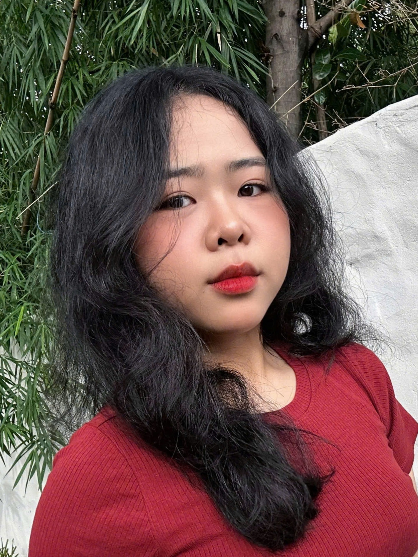 User LAN ANH profile image