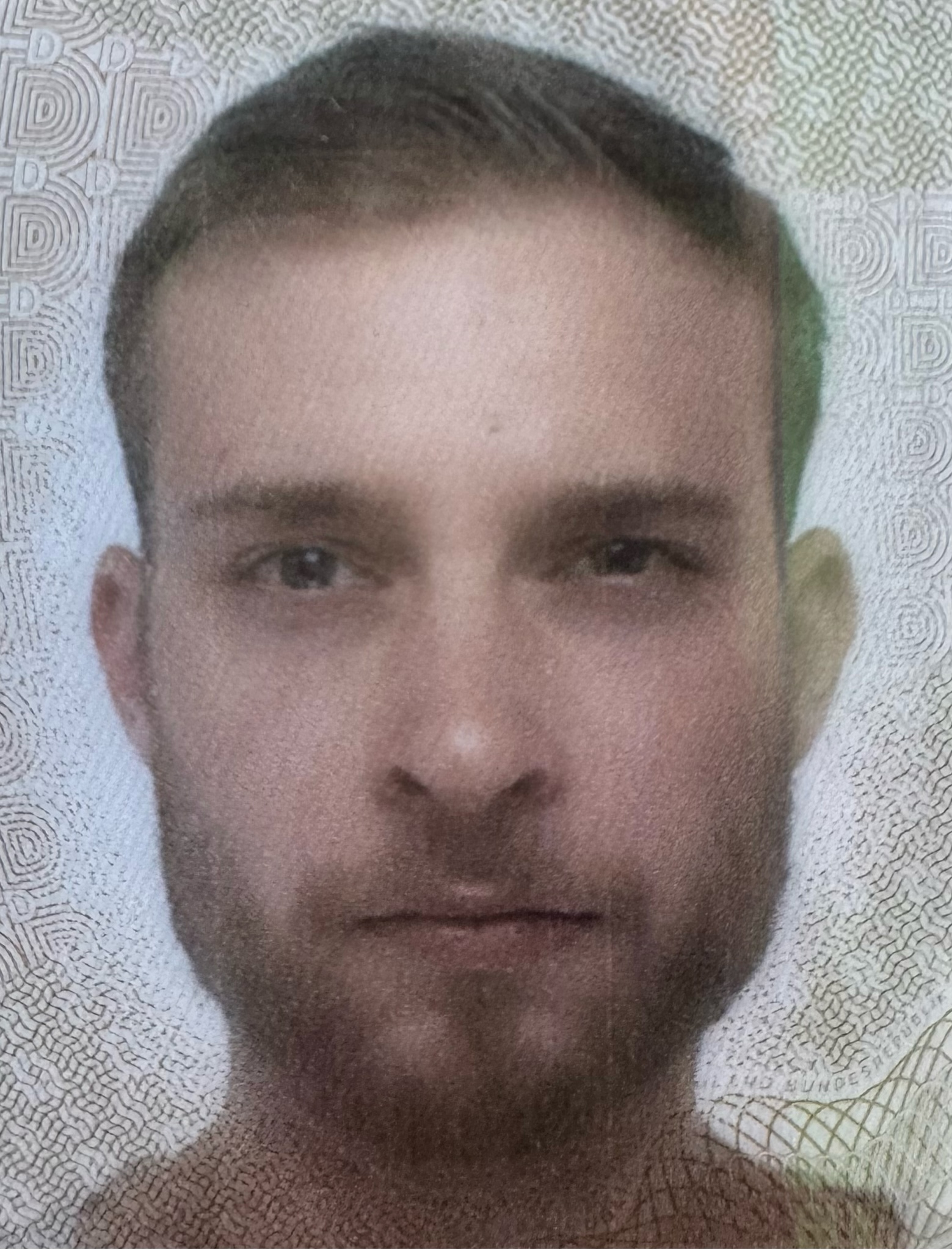 User Daniel profile image