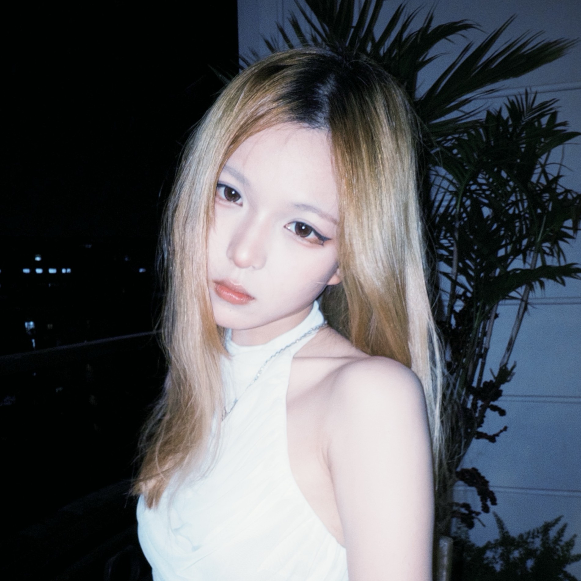 User Tran profile image