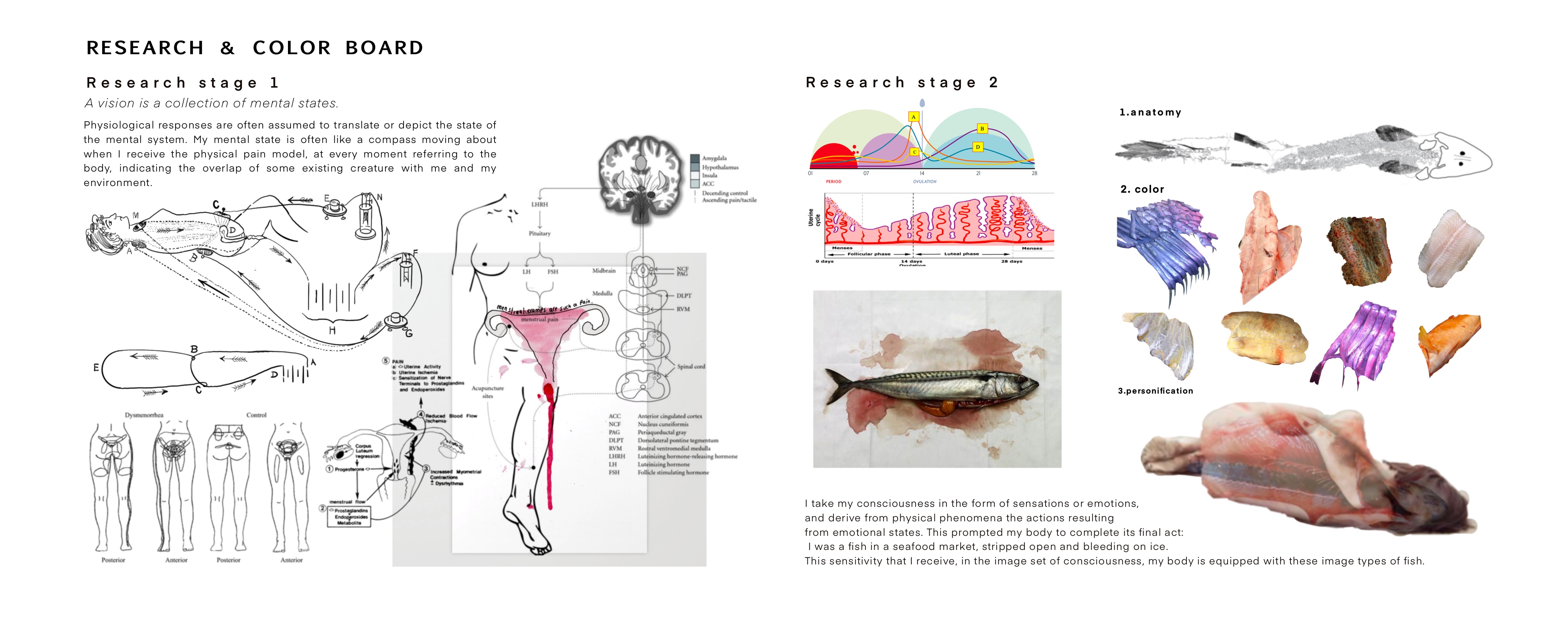 User Qingyi project image two