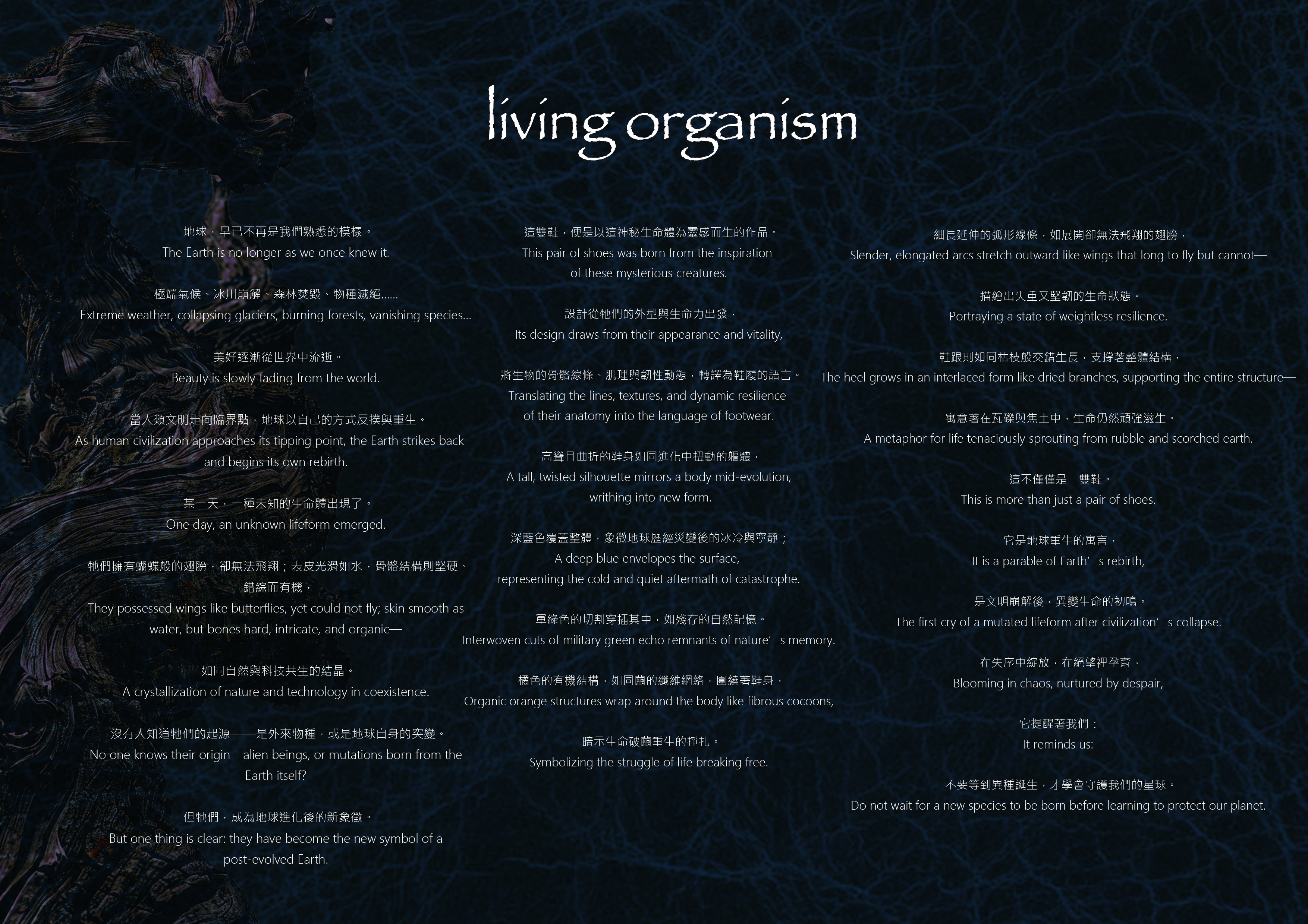 User LIANG YU project image two