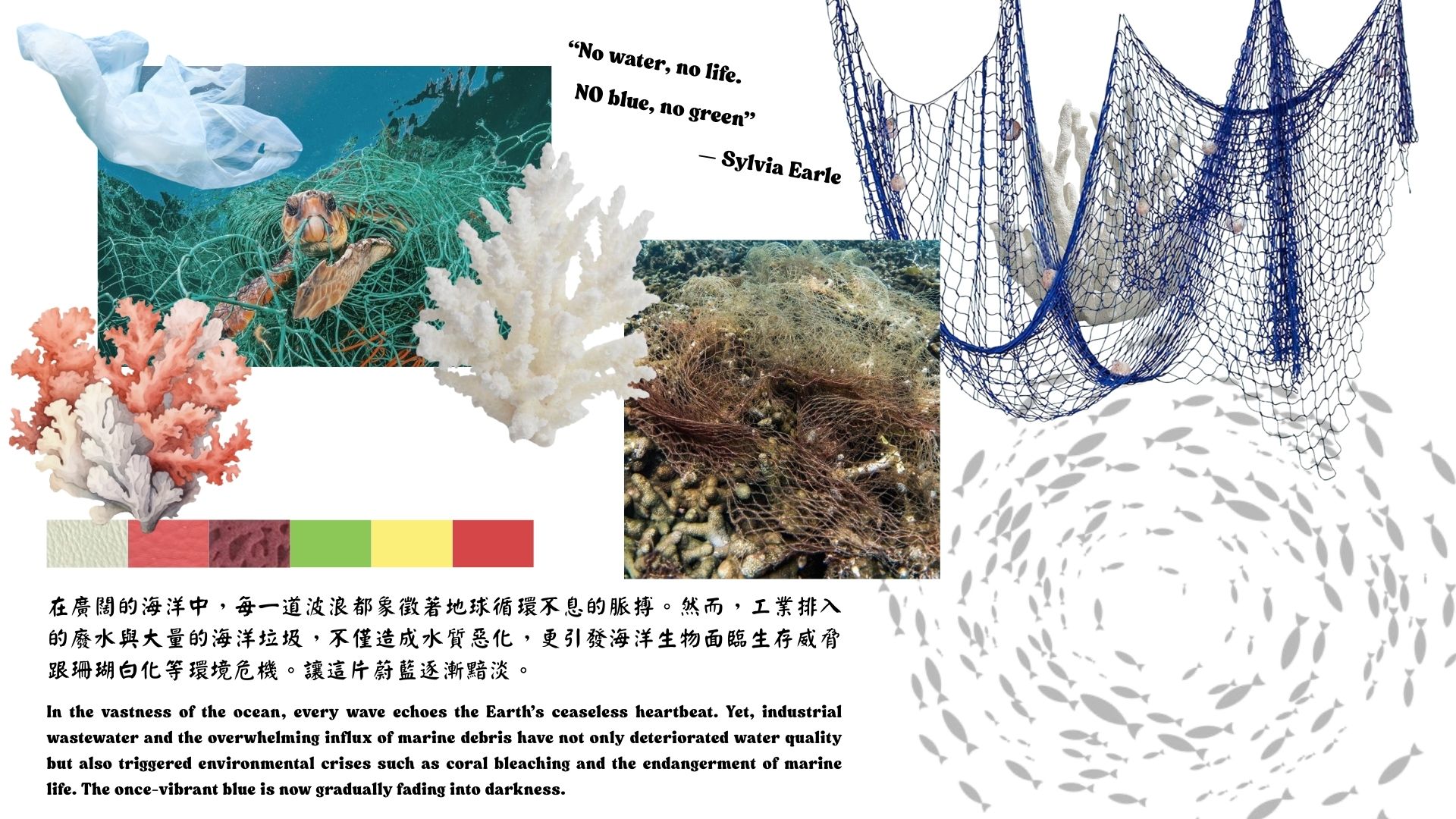 User Liu project image two