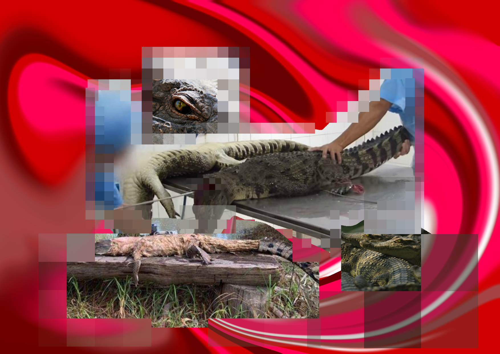 User MING-XIN project image two