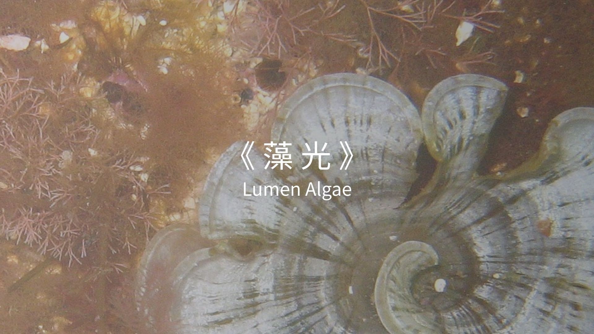 User Yu-Han project image one