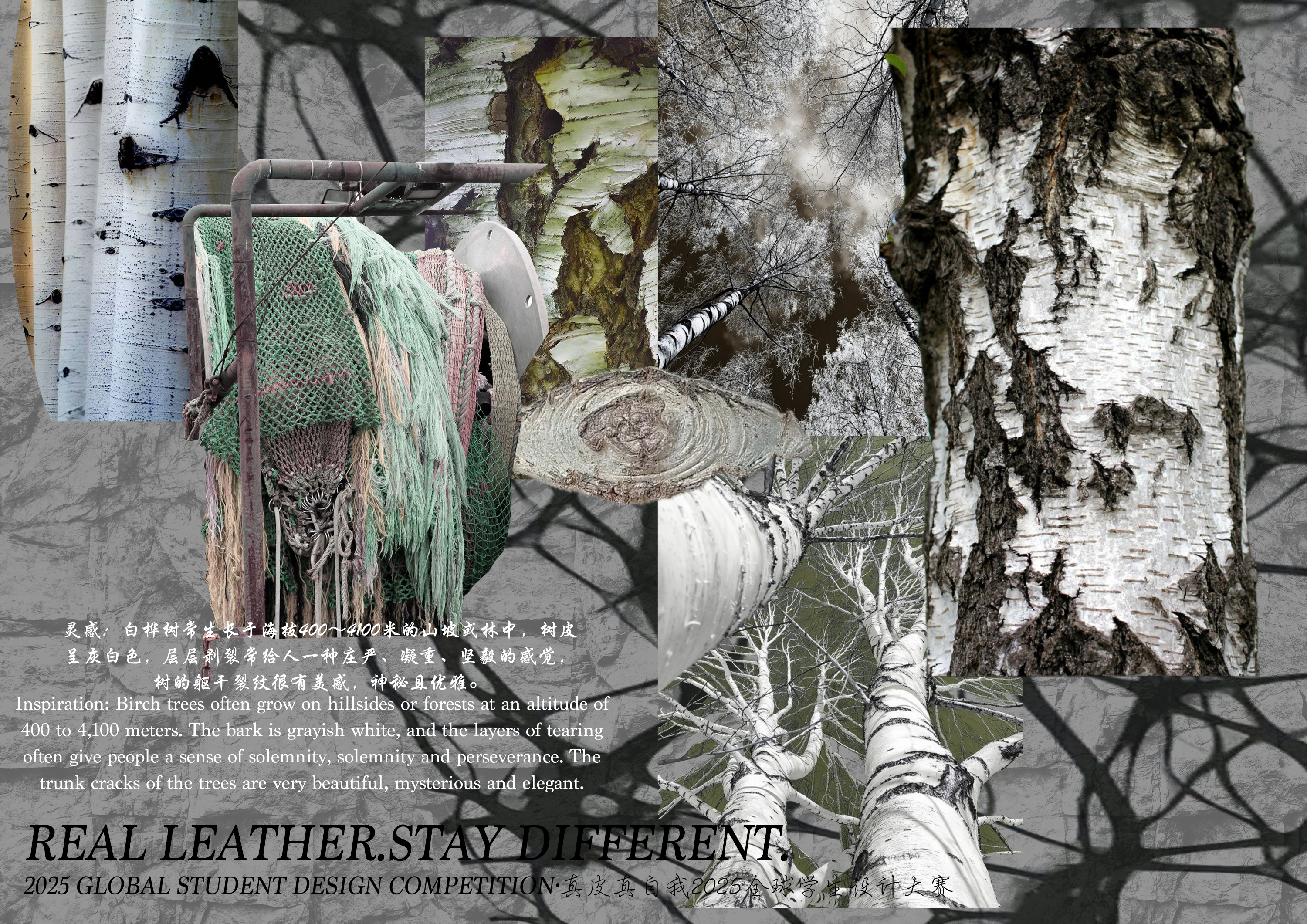 User 函奇 project image two