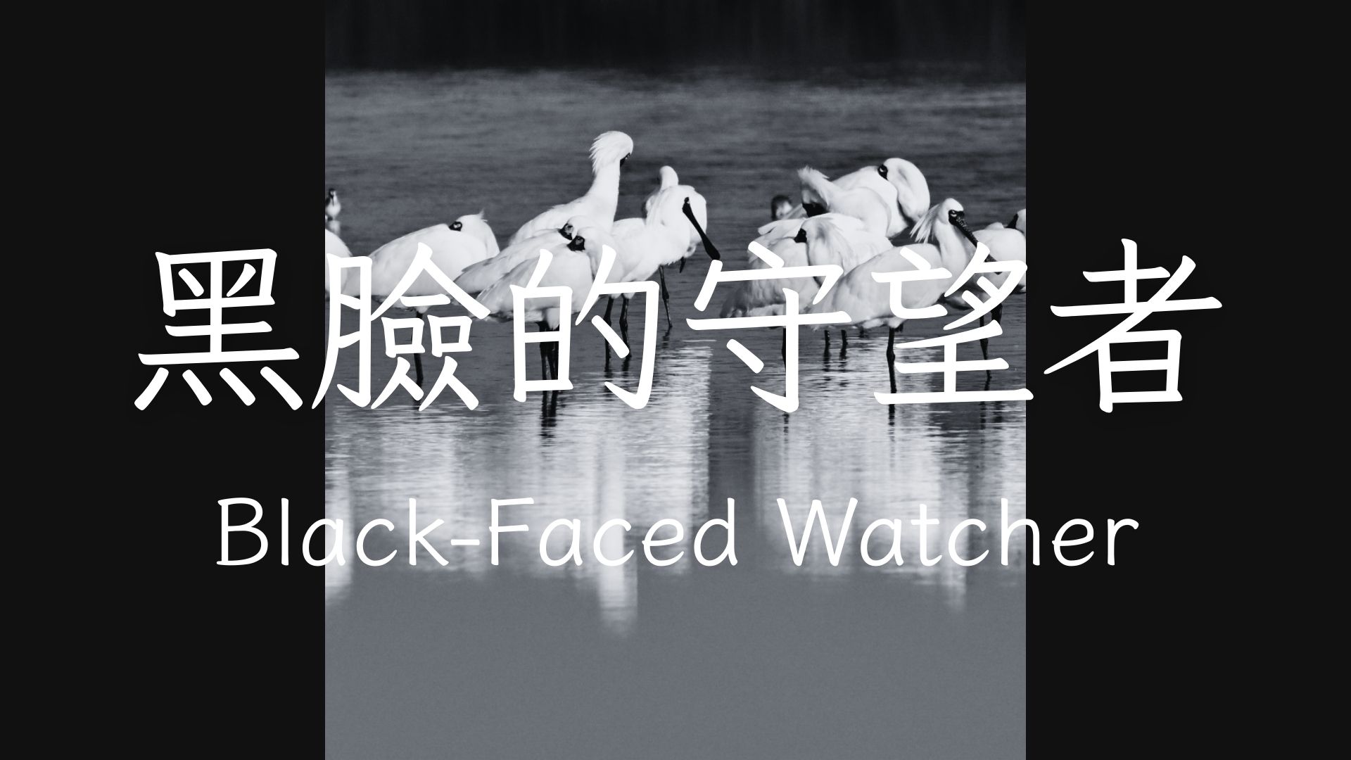 User YUN-TZU project image one