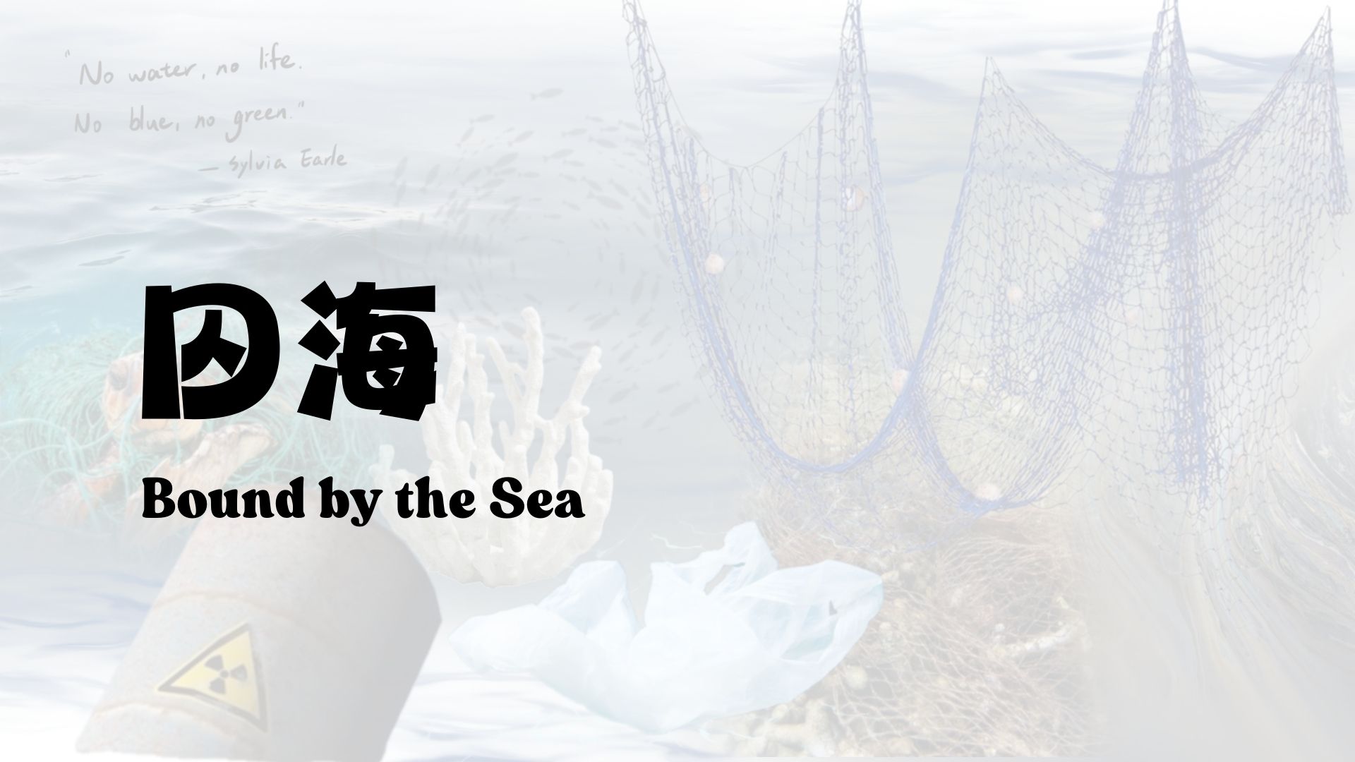 User Liu project image one