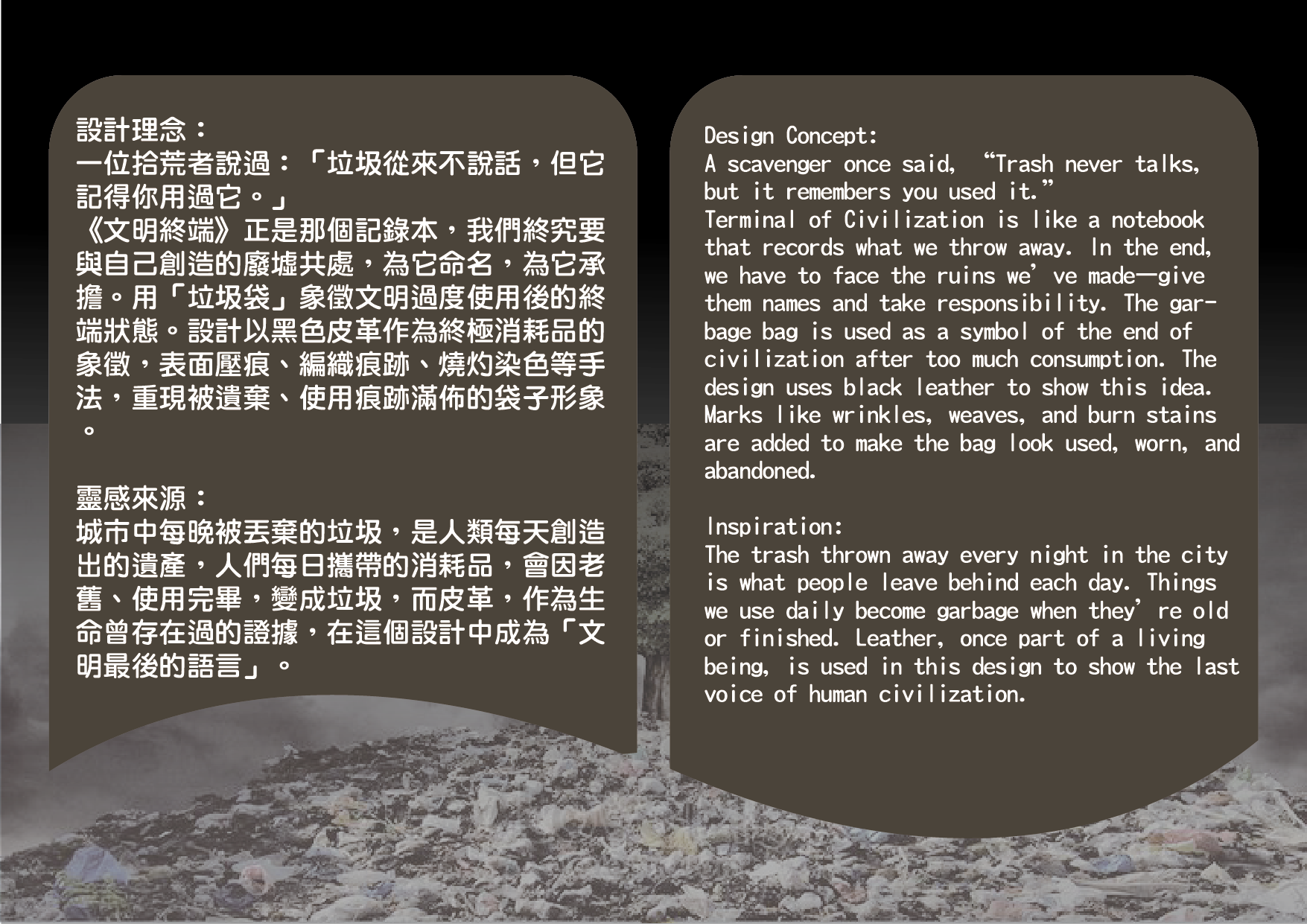 User Lin project image two