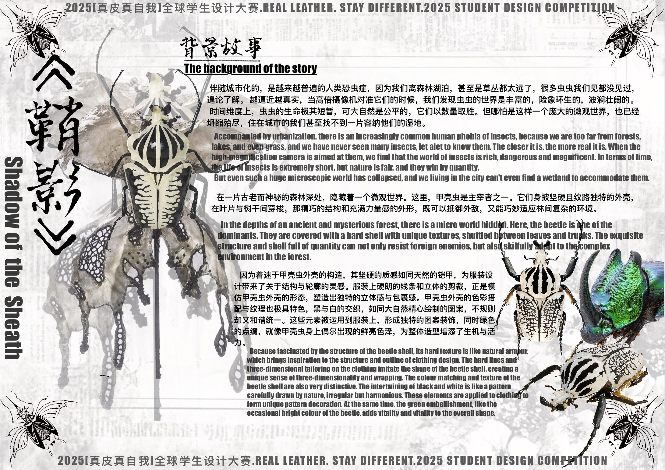 User 兰馨 project image one