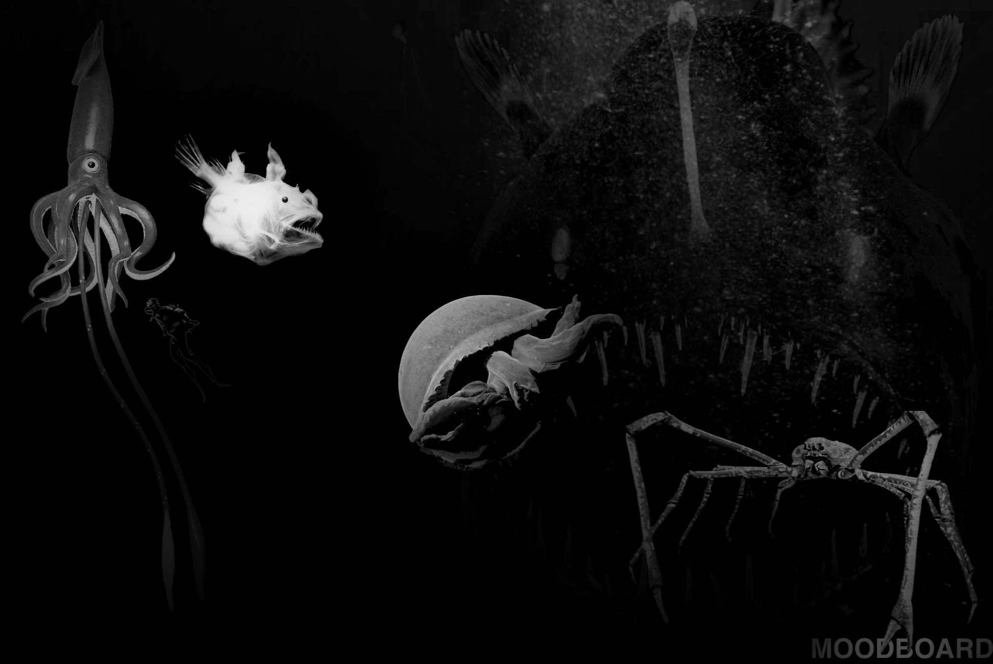 User Daniel project image two
