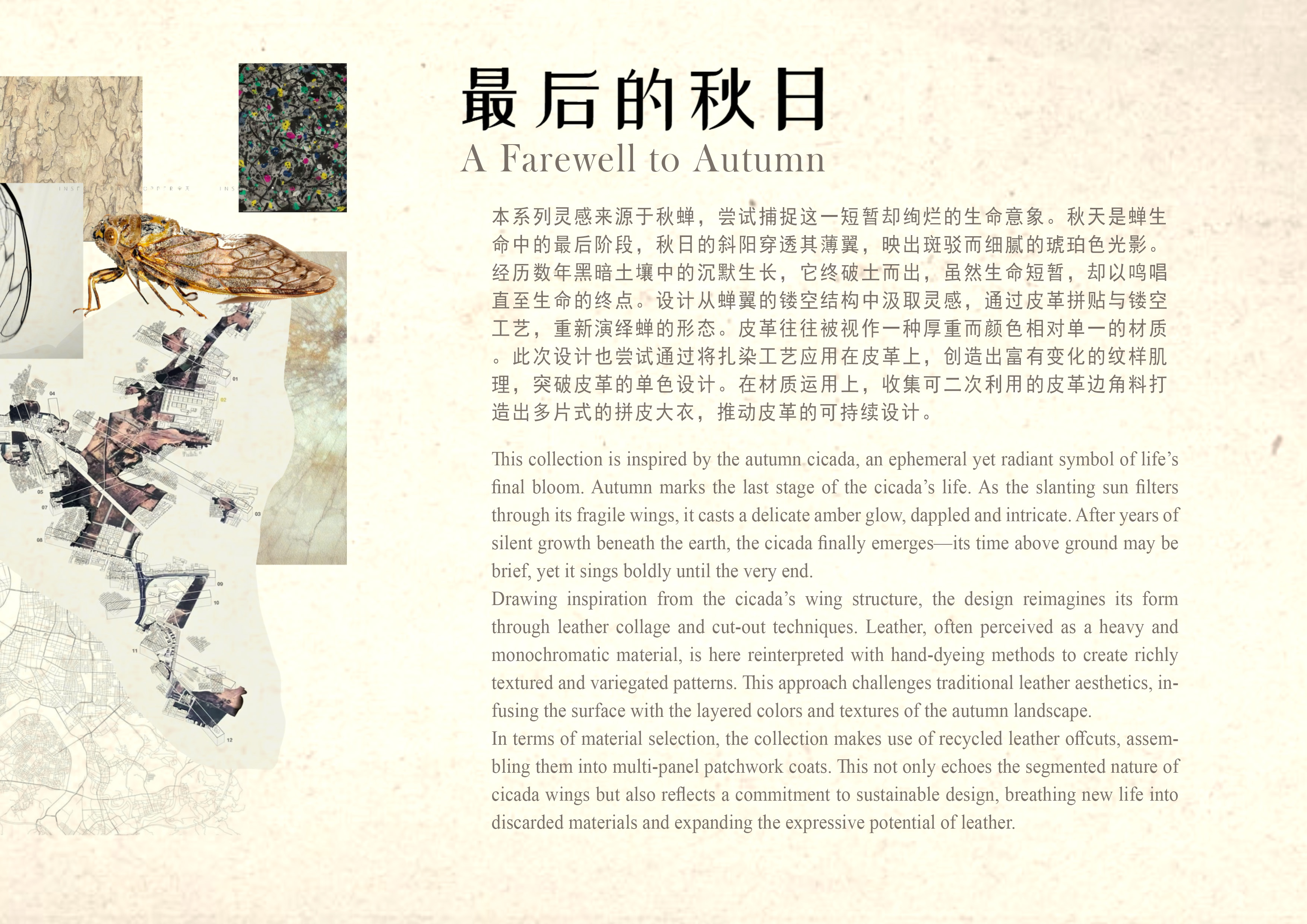 User 曼云 project image one