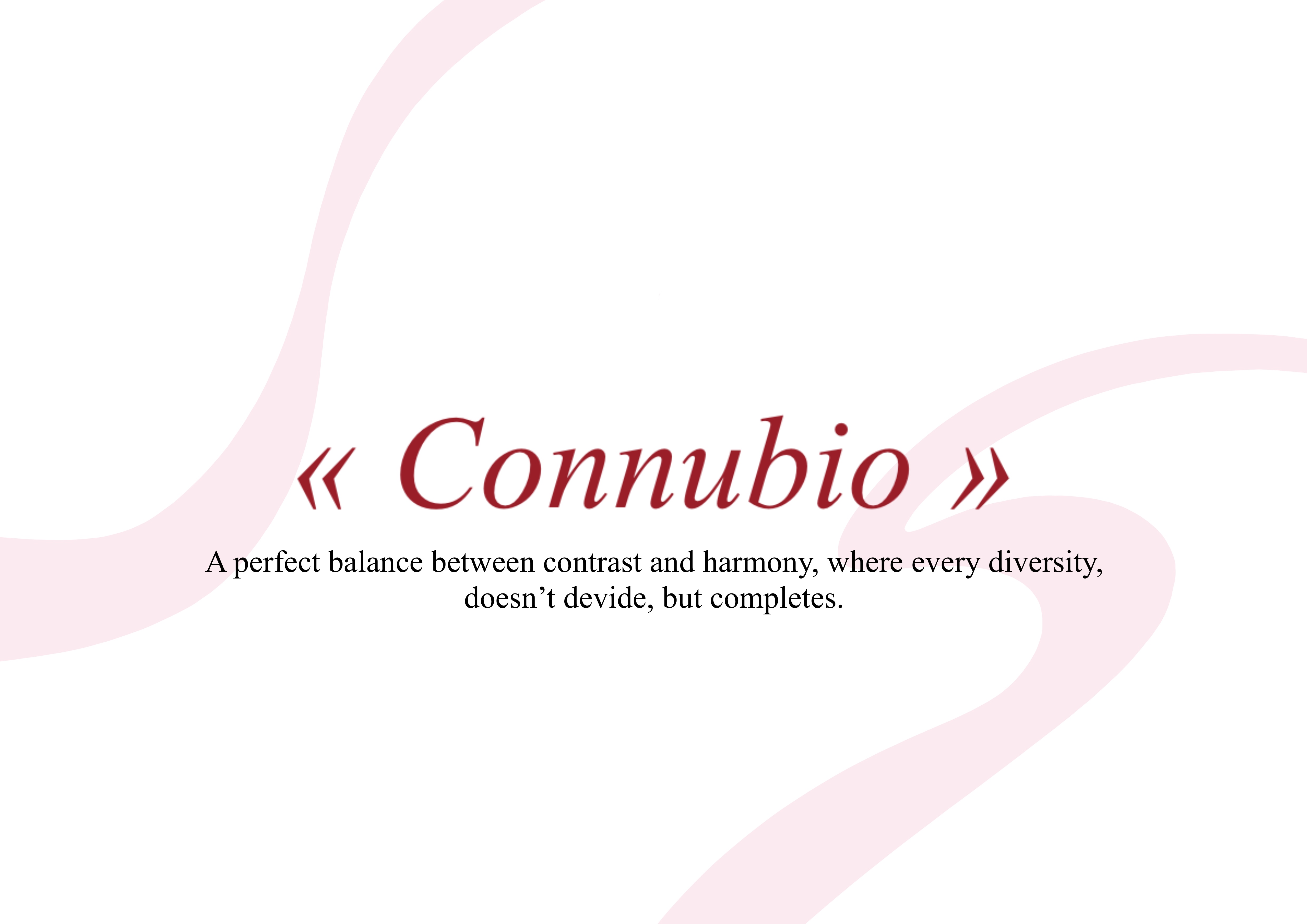 User Camilla project image two