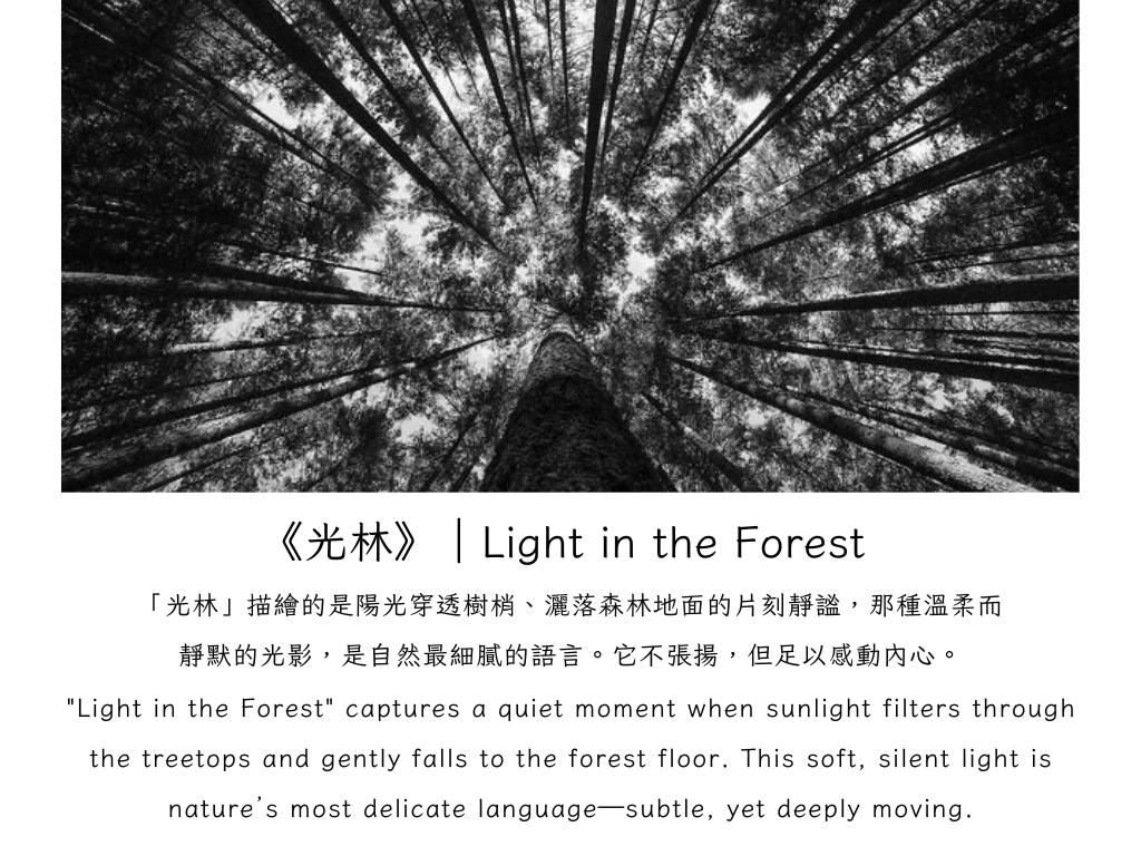 User Pei Ni project image two