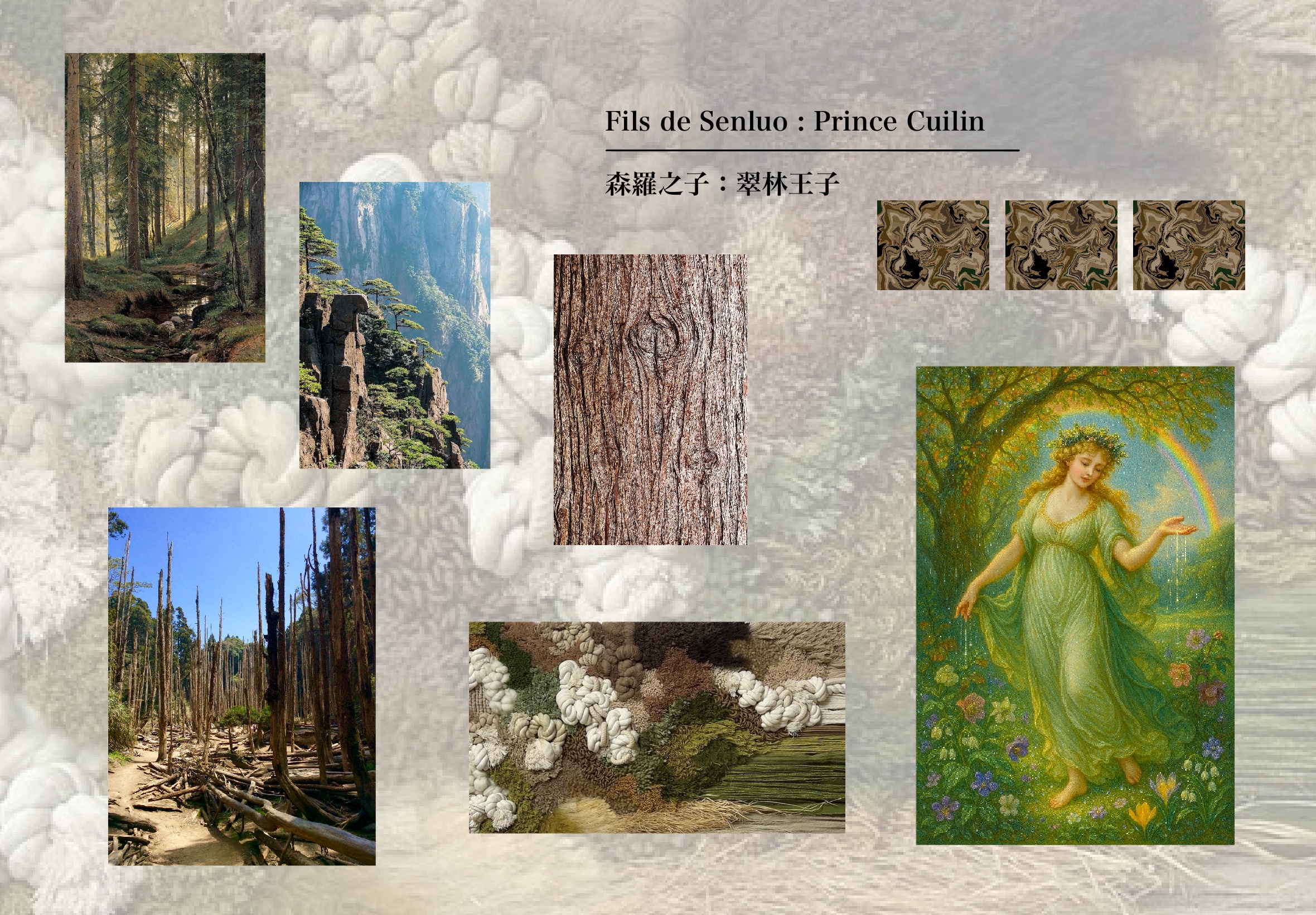 User CHIEN HSIN project image two