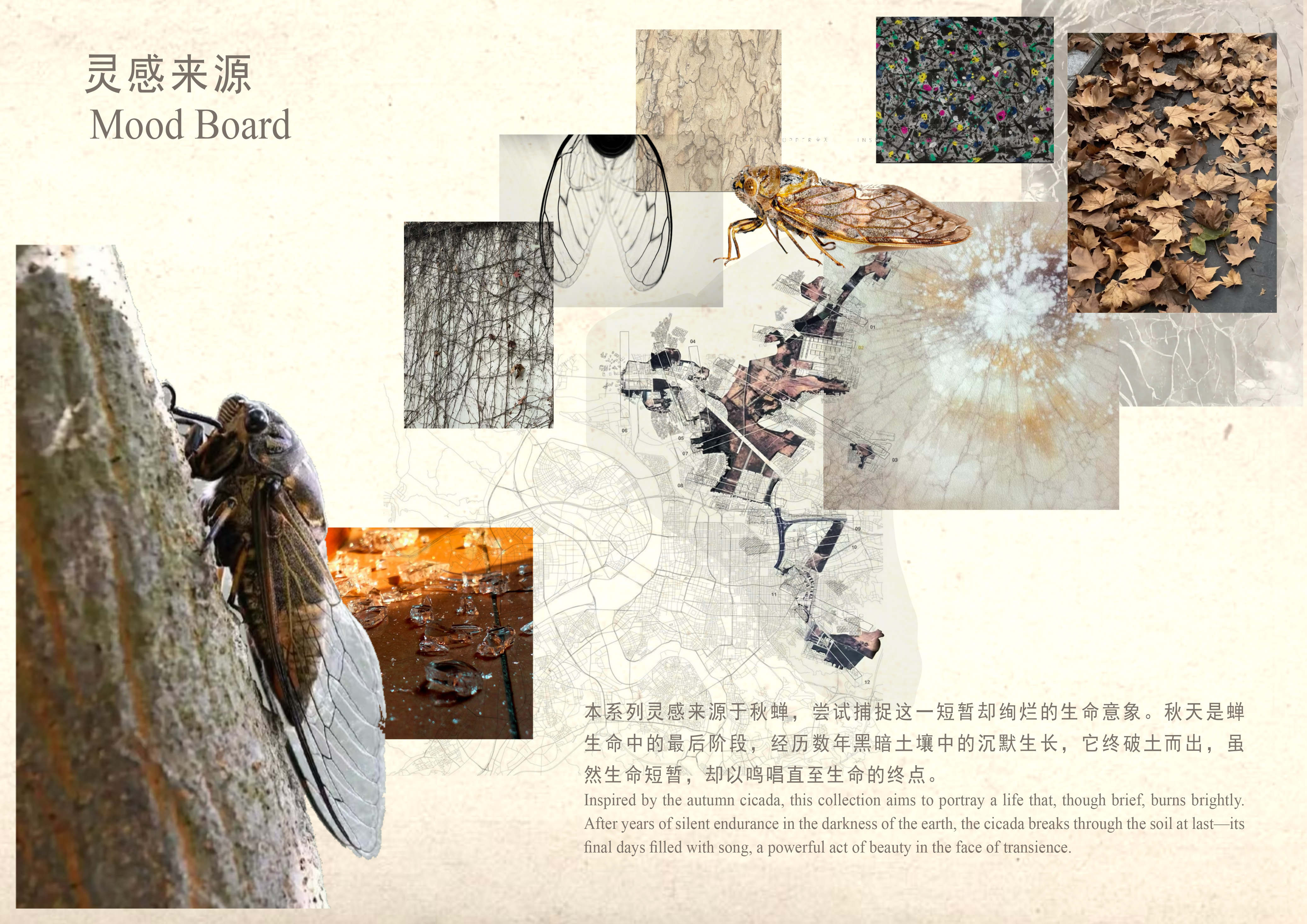 User 曼云 project image two
