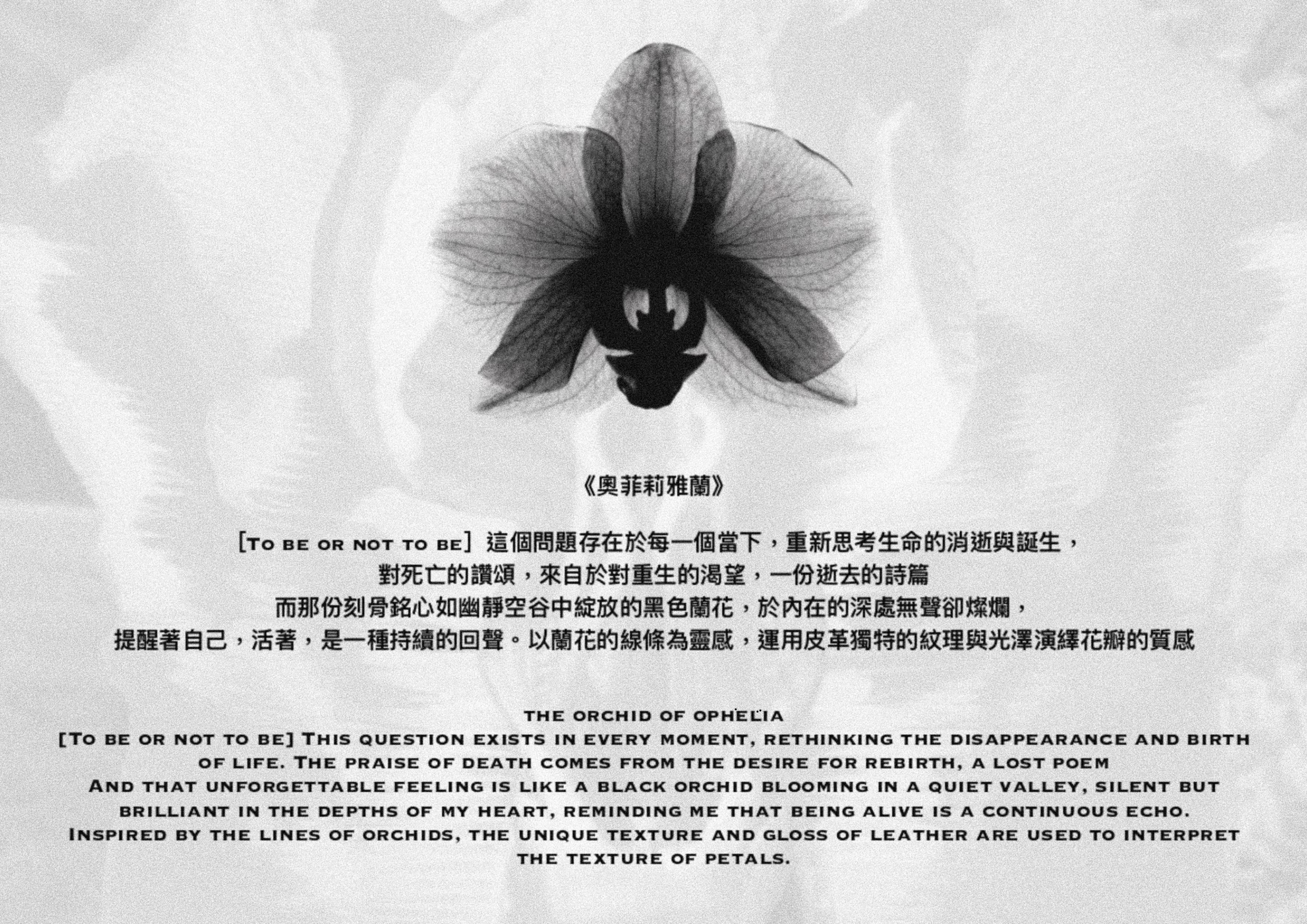 User Shaowei project image two