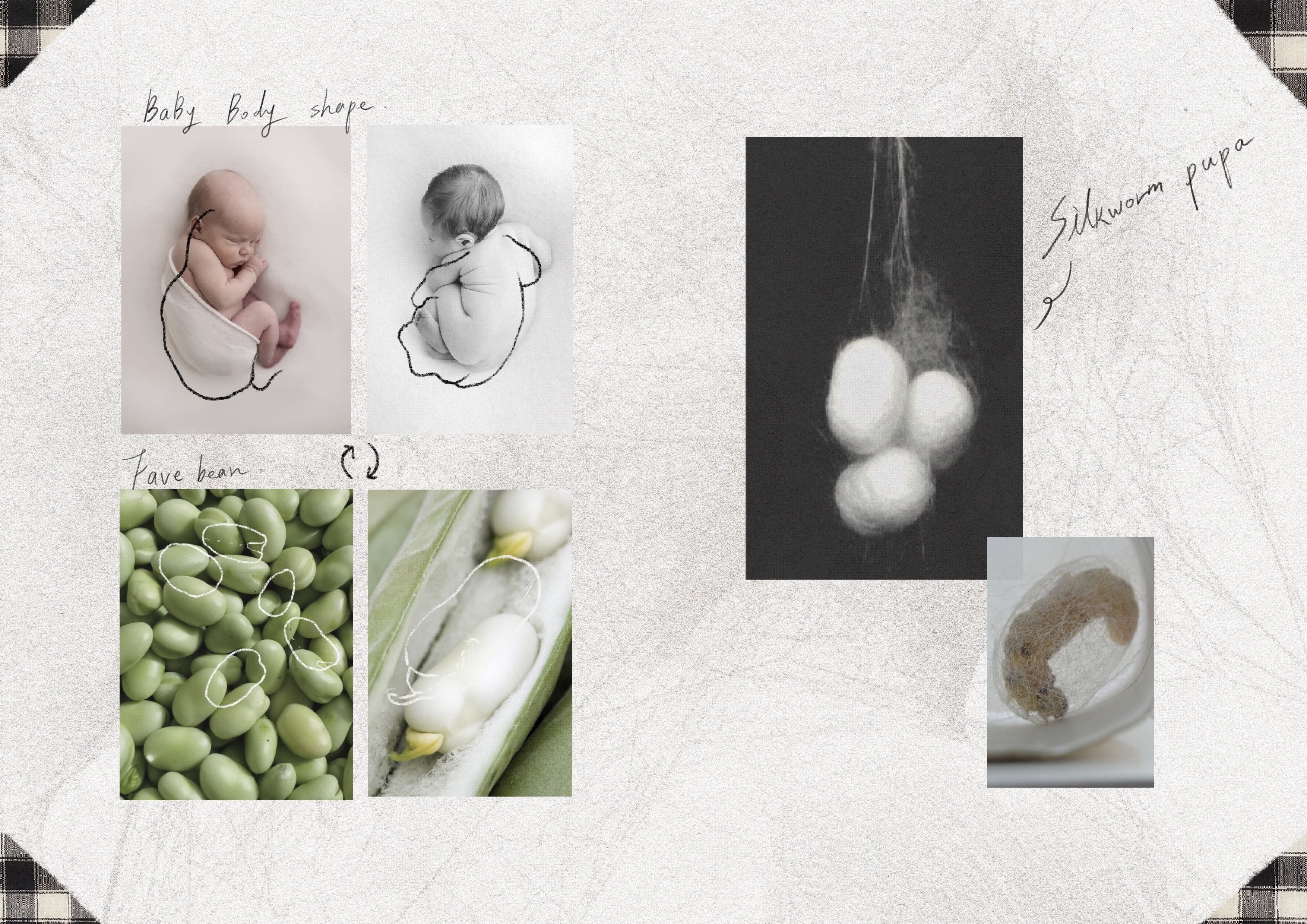 User XING-ZHI project image two