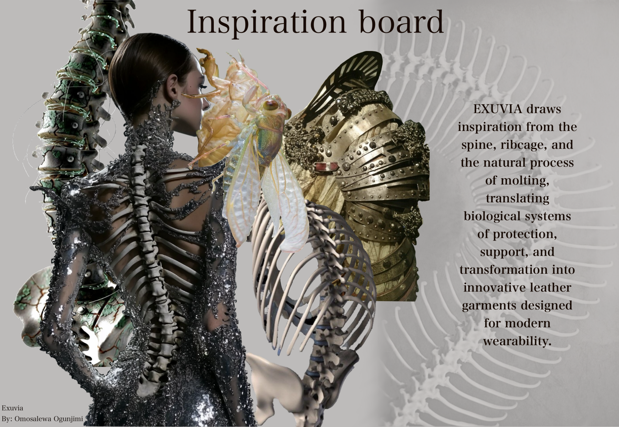 User Omosalewa project image two