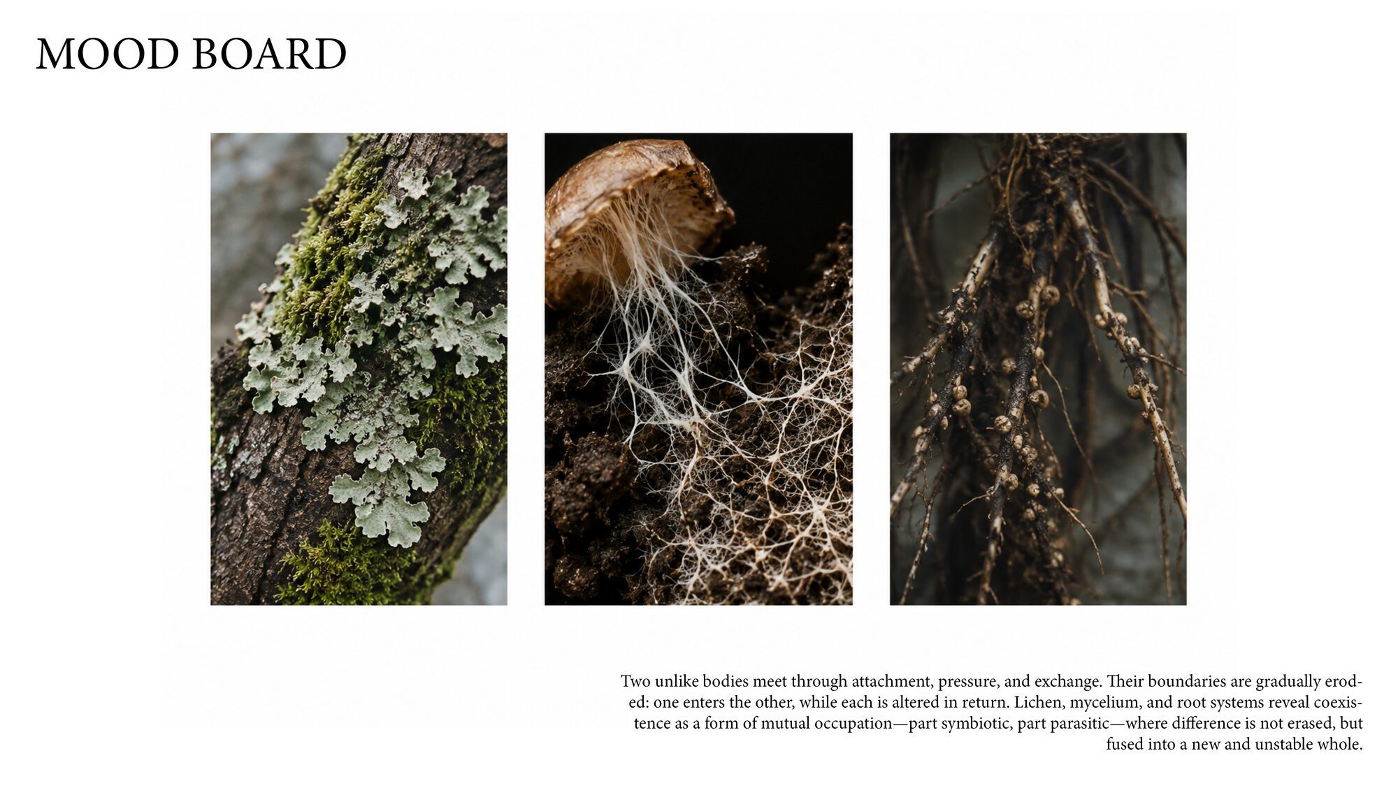 User Shengtao project image two