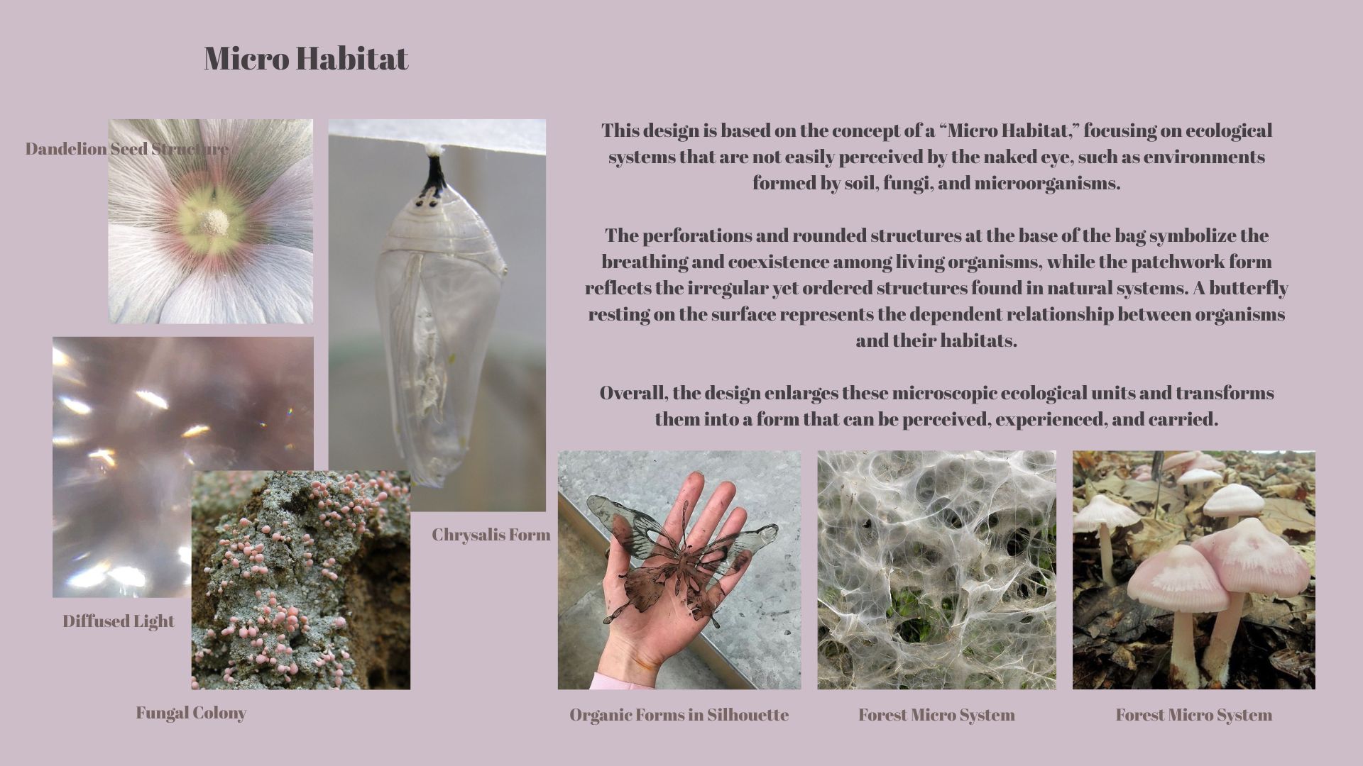 User CHANG project image one