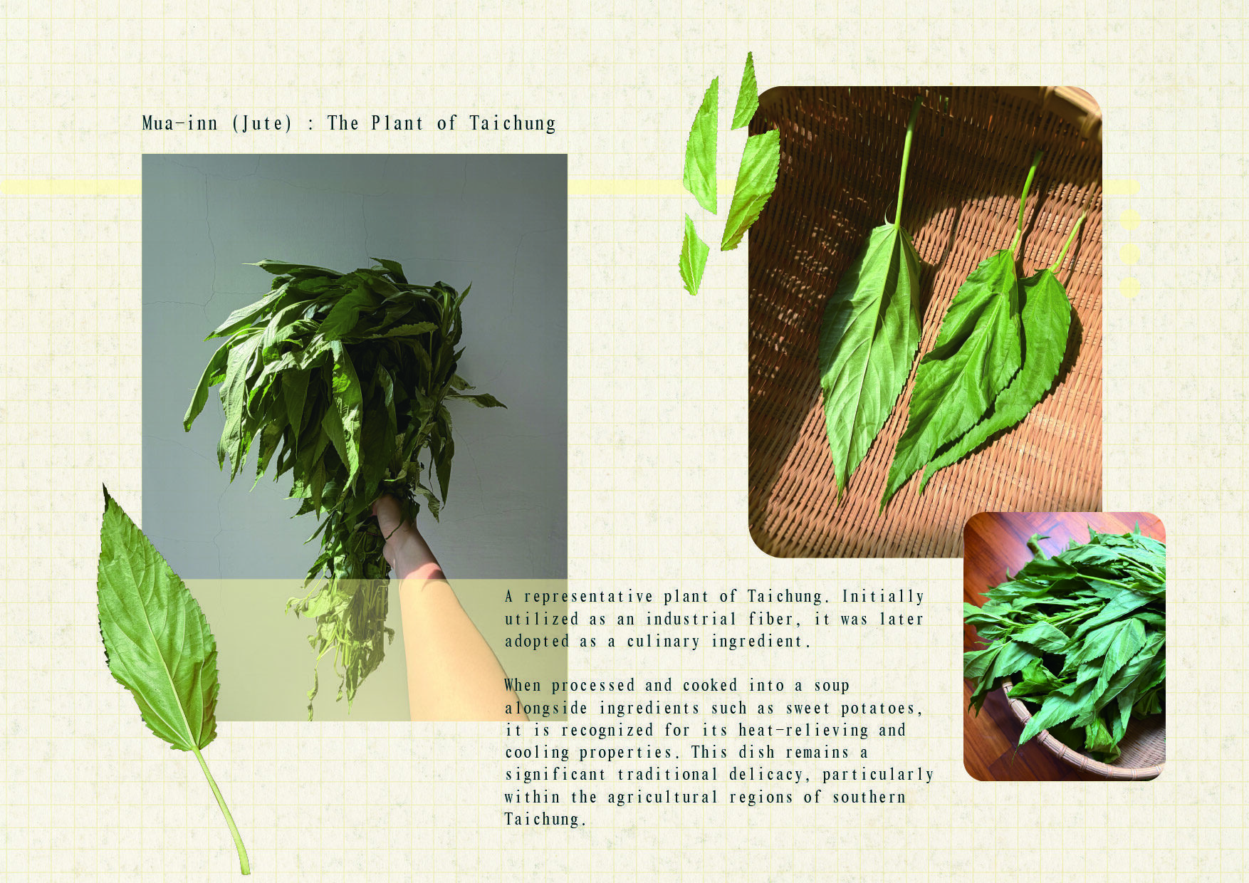 User Wei project image two