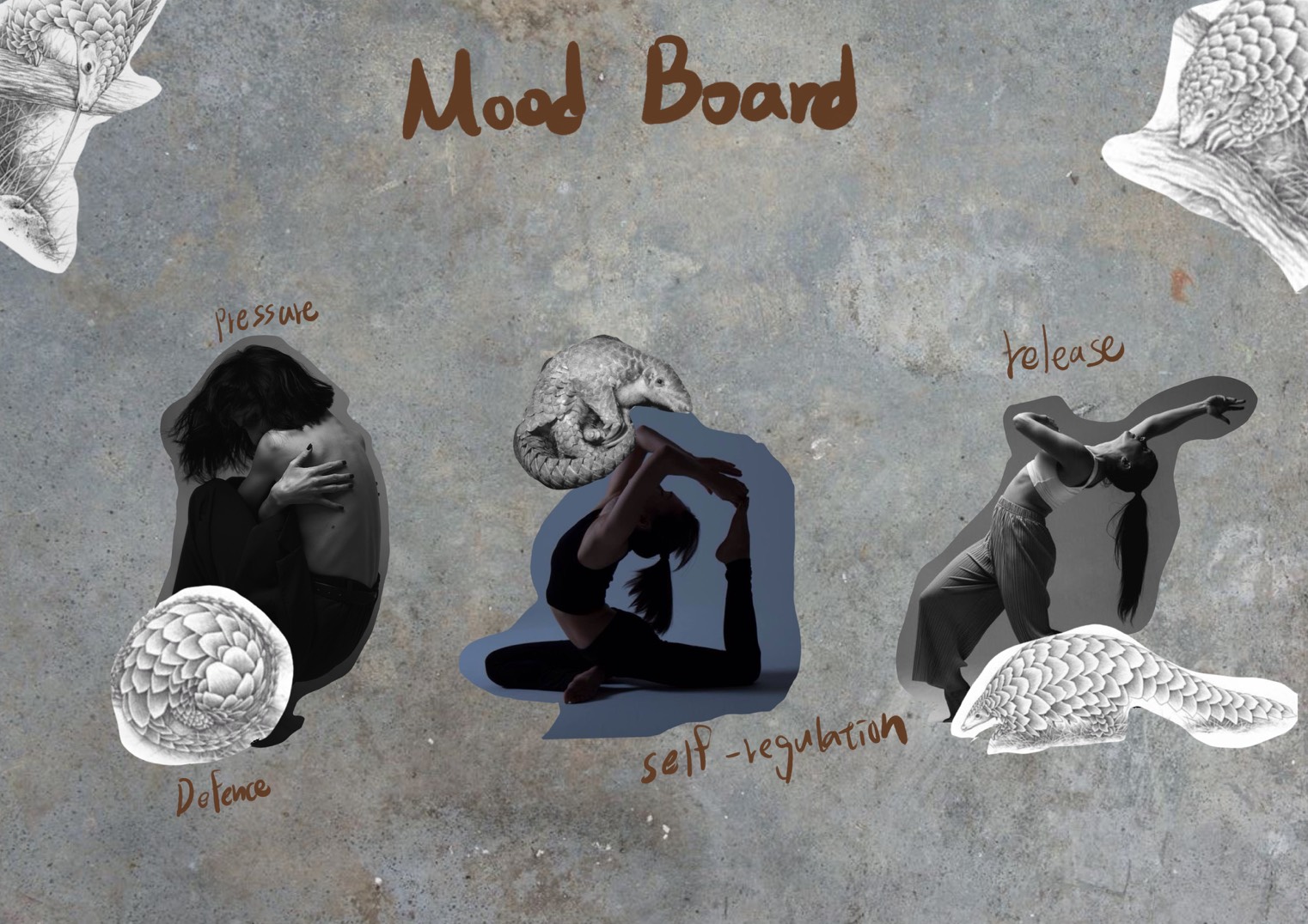 User TZU-HSI project image two