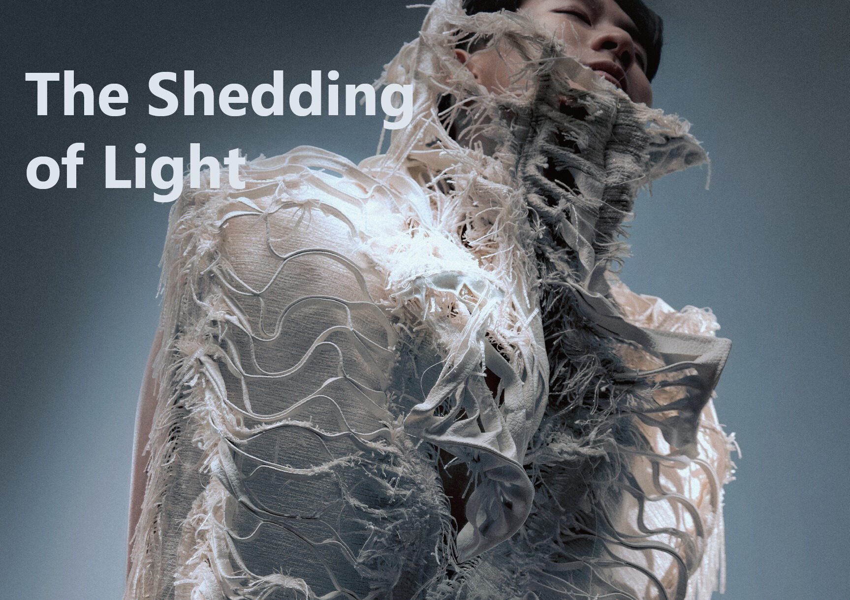 User Xuan-Lin project image one