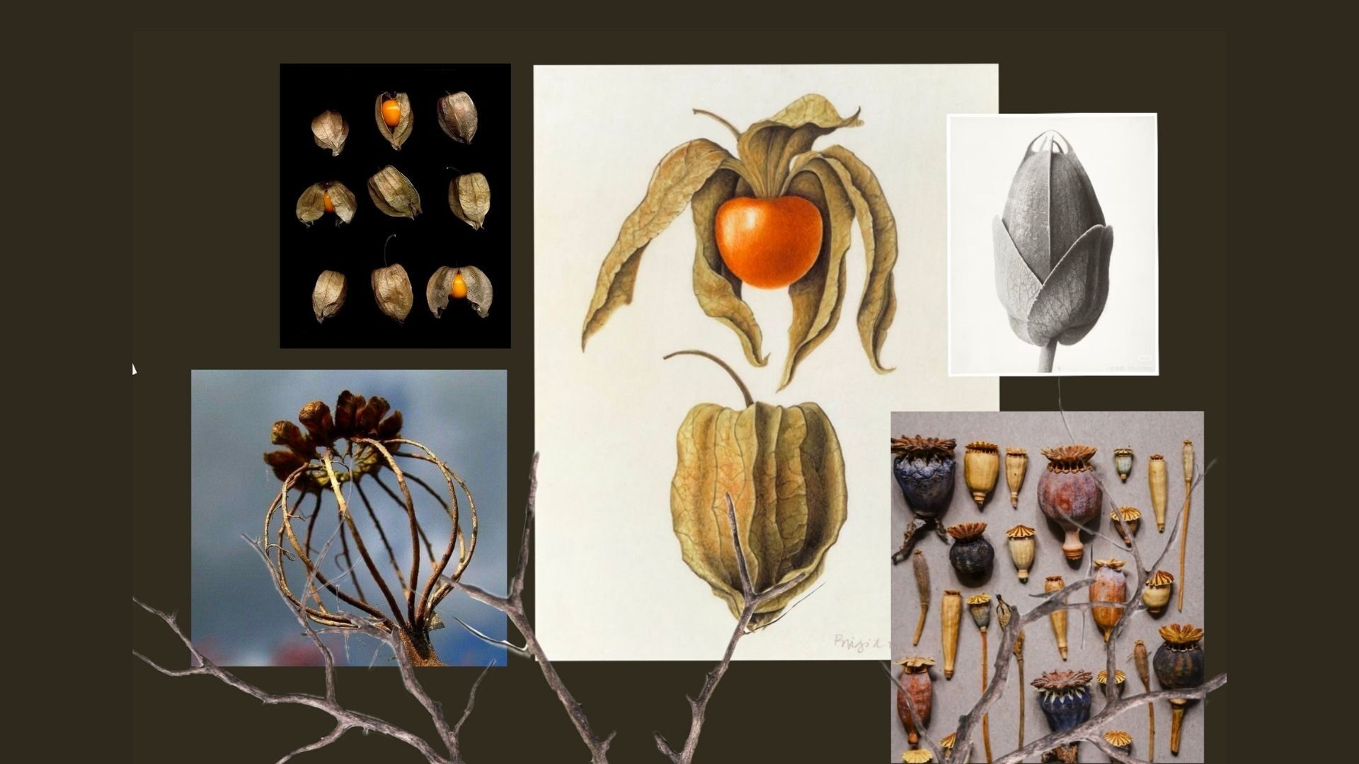 User JEN-HSIN project image two