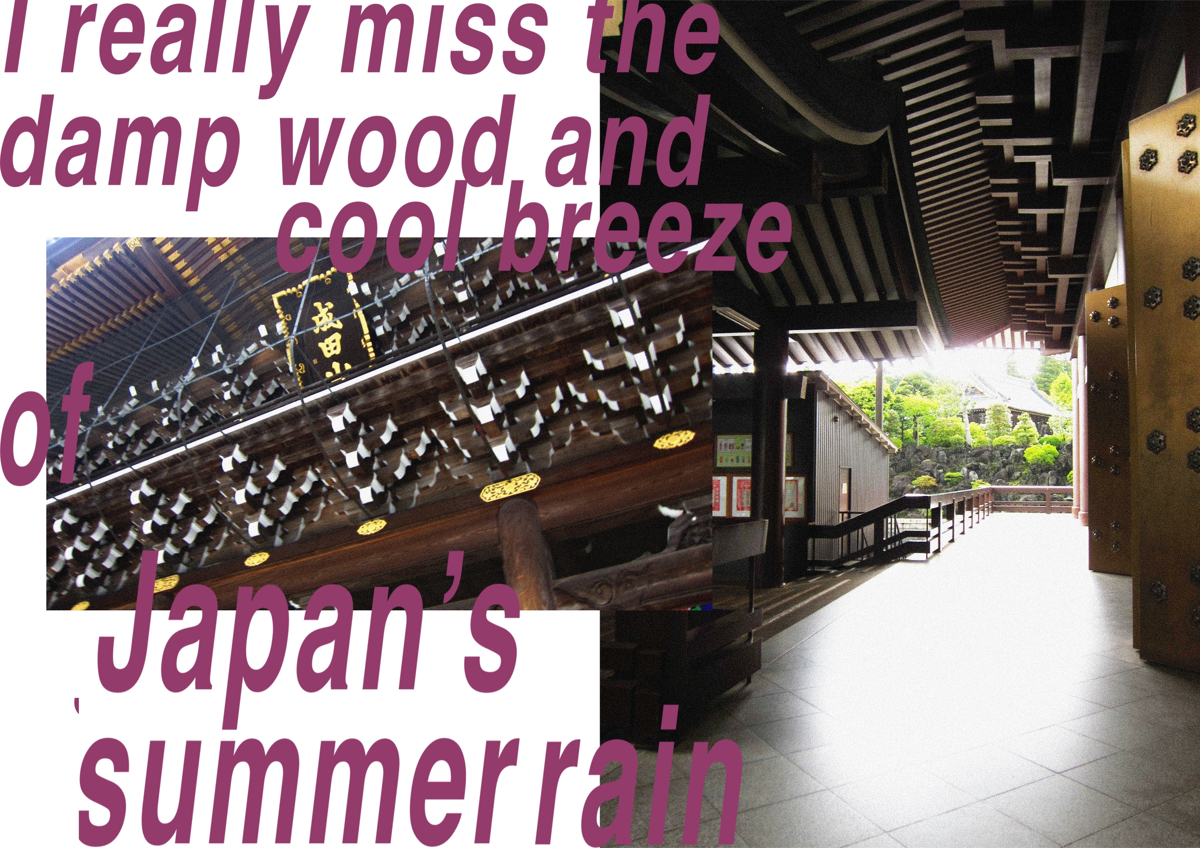 User Rinranant project image one
