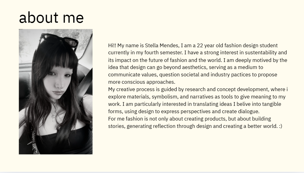 User Stella project image two