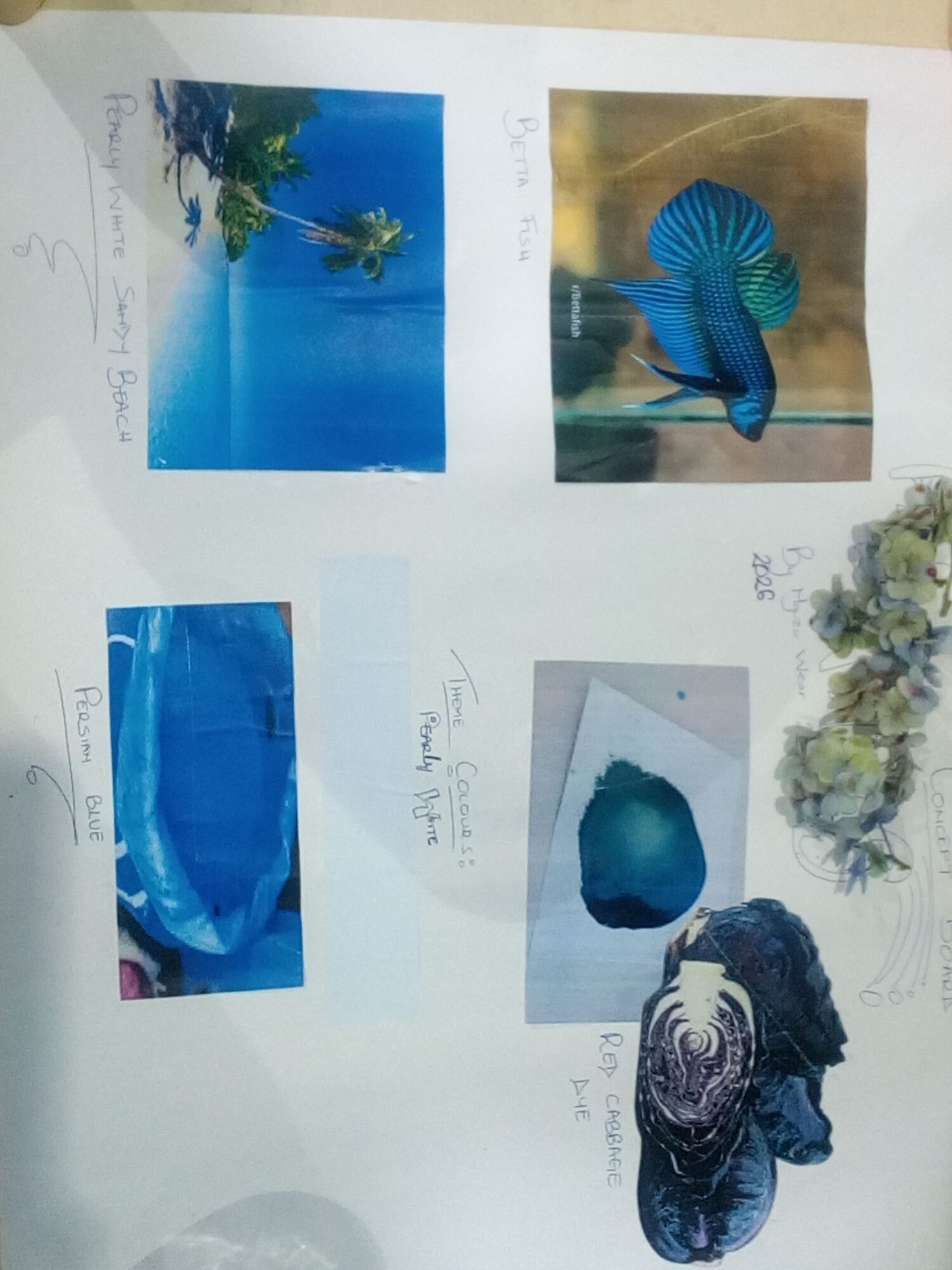 User Sheila project image one