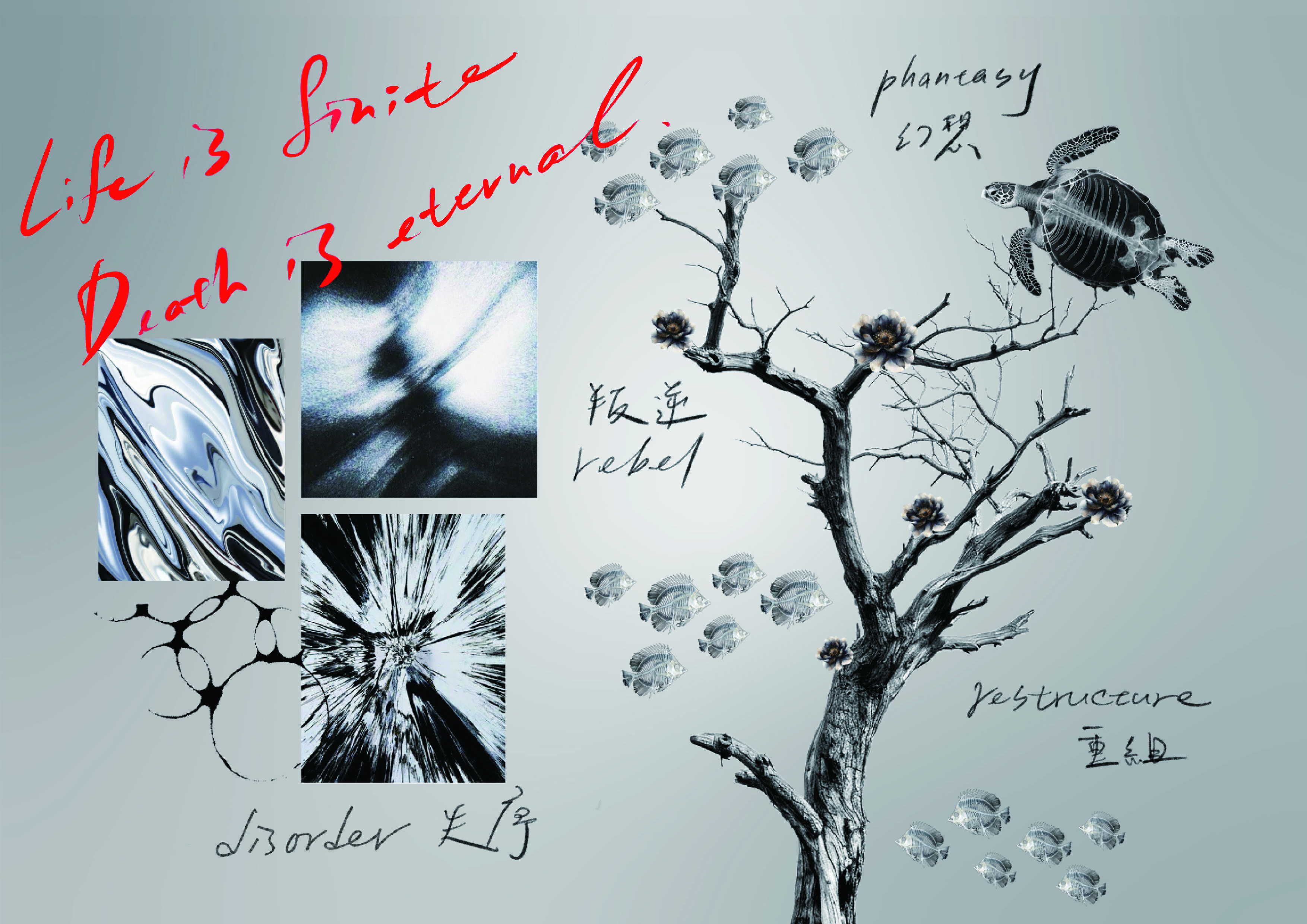 User Pei Chun project image two