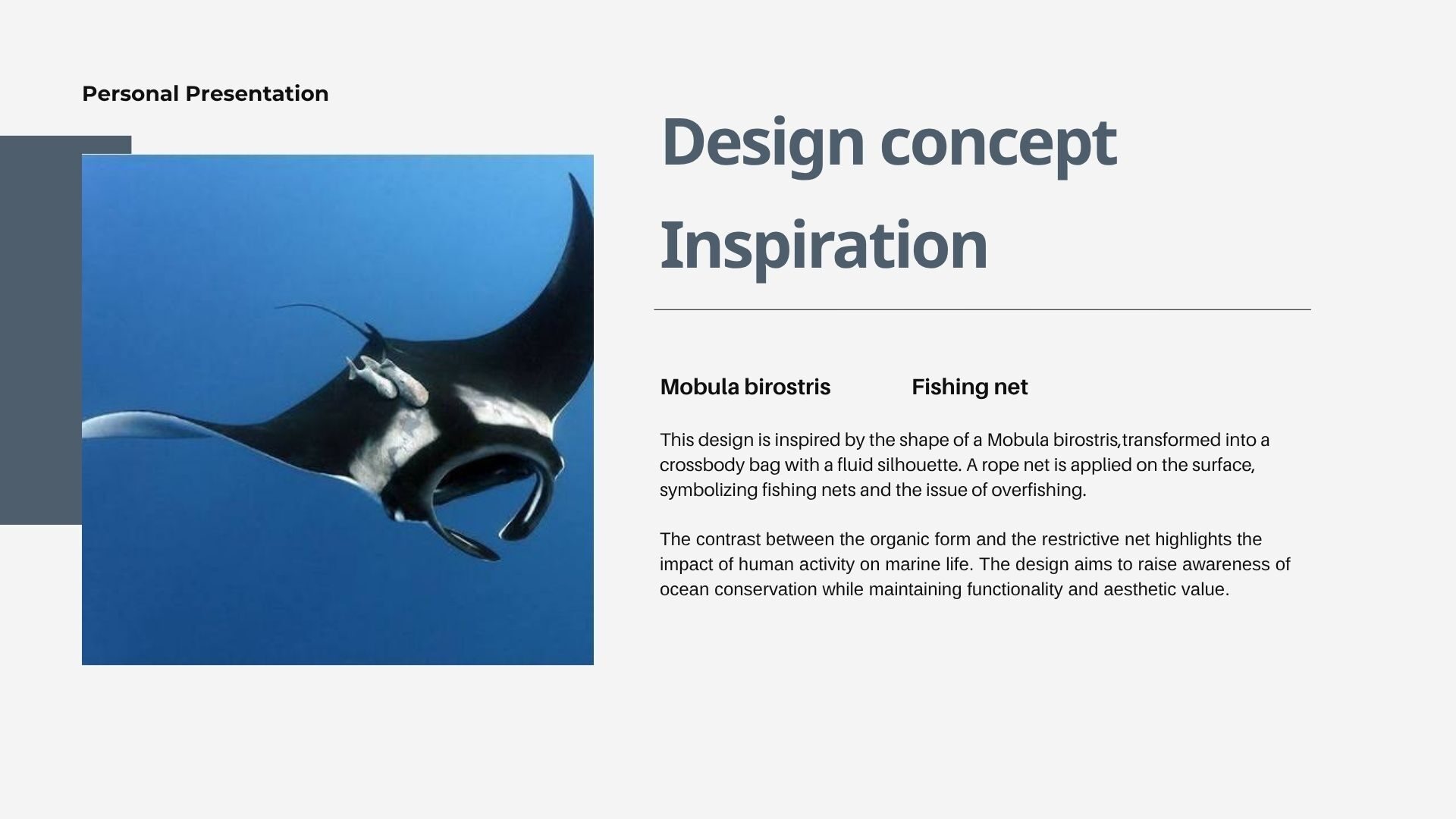 User Liu project image two