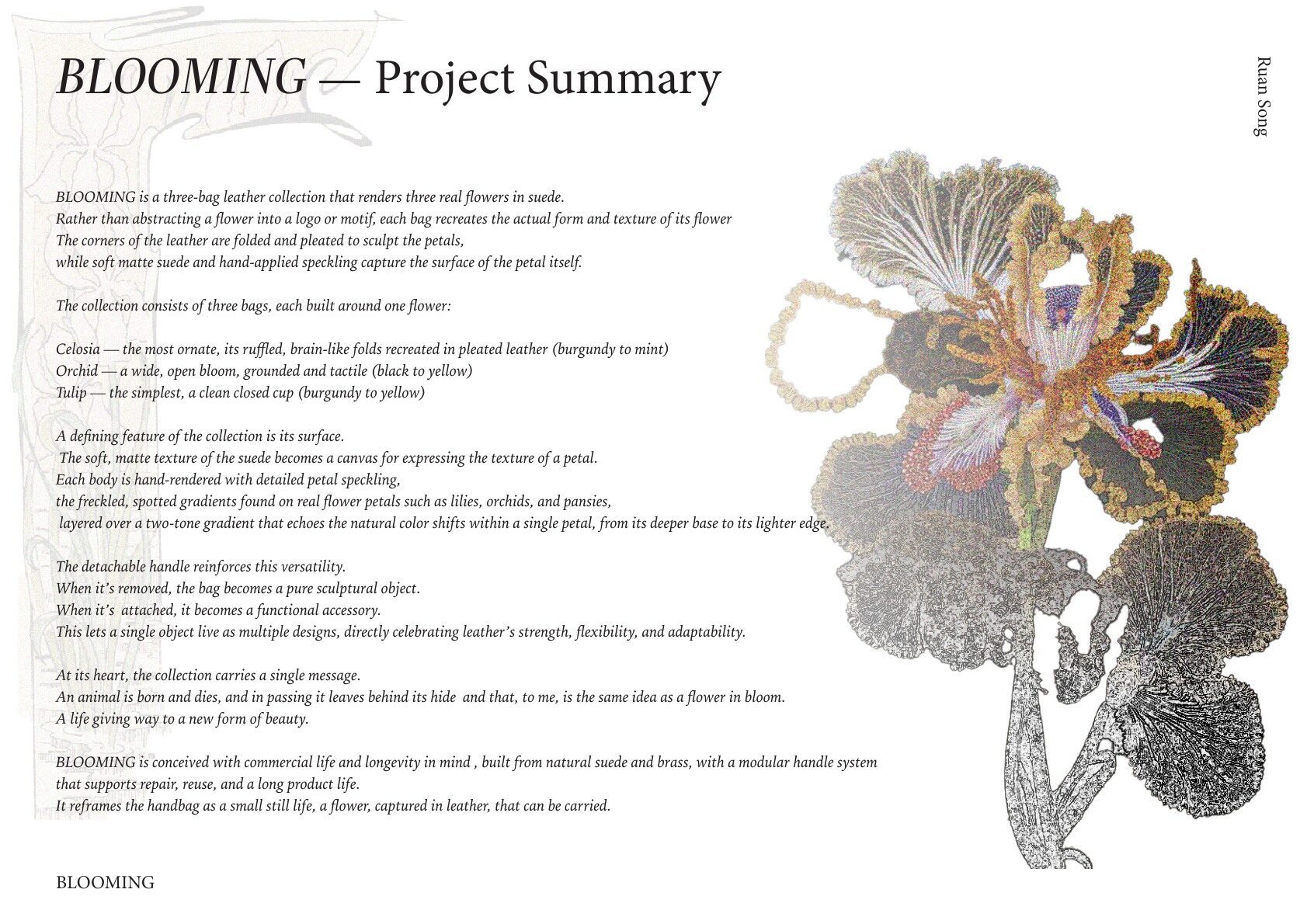 User Song project image two