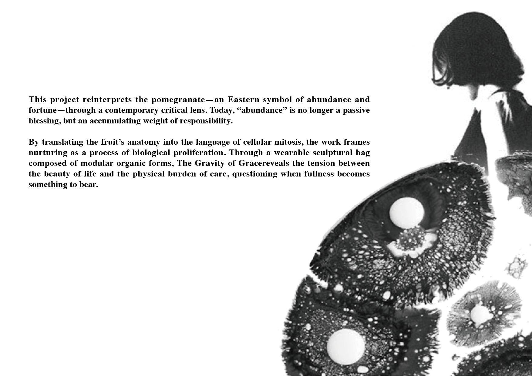 User Hsiu Yuan project image two