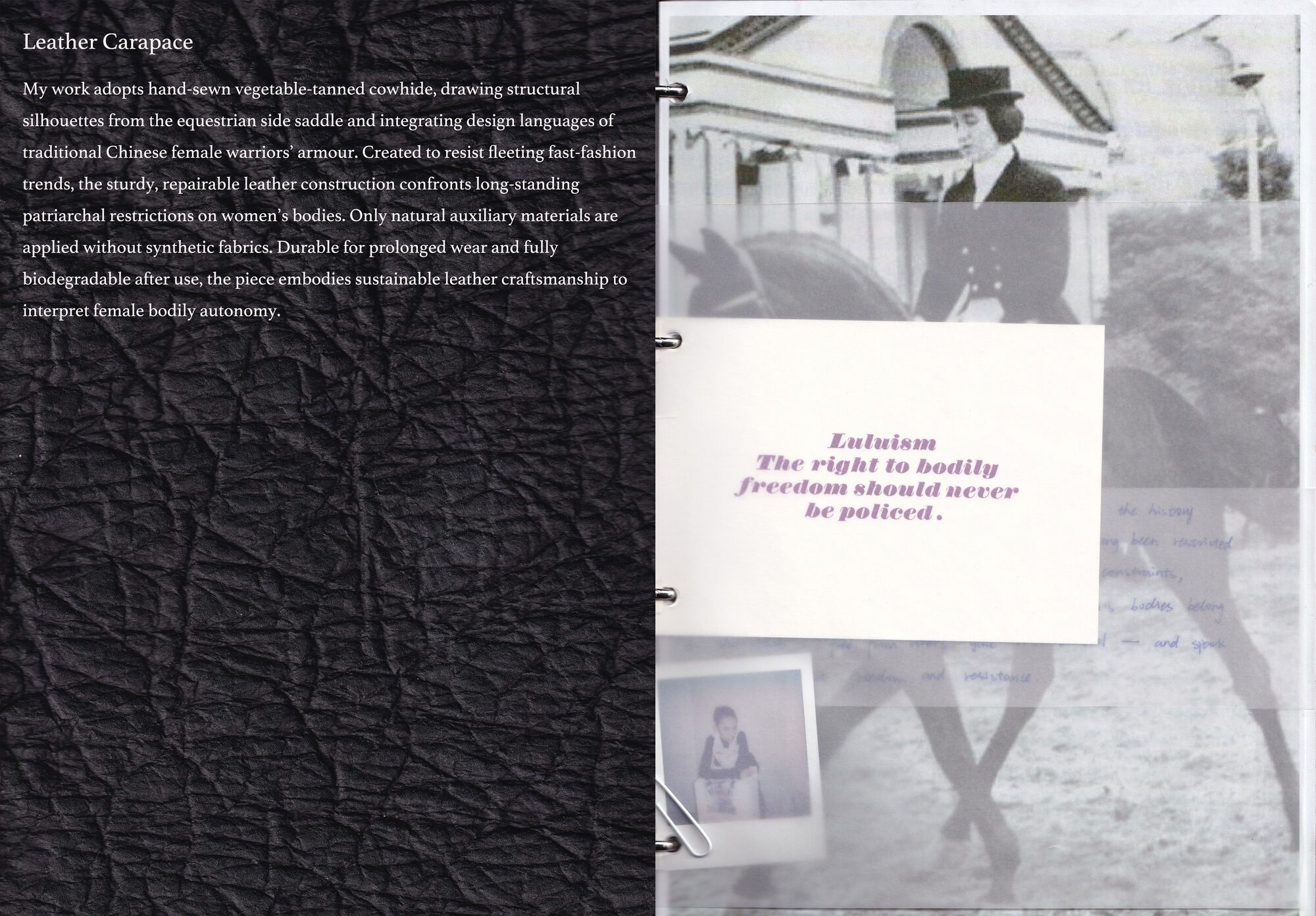User Lu project image two