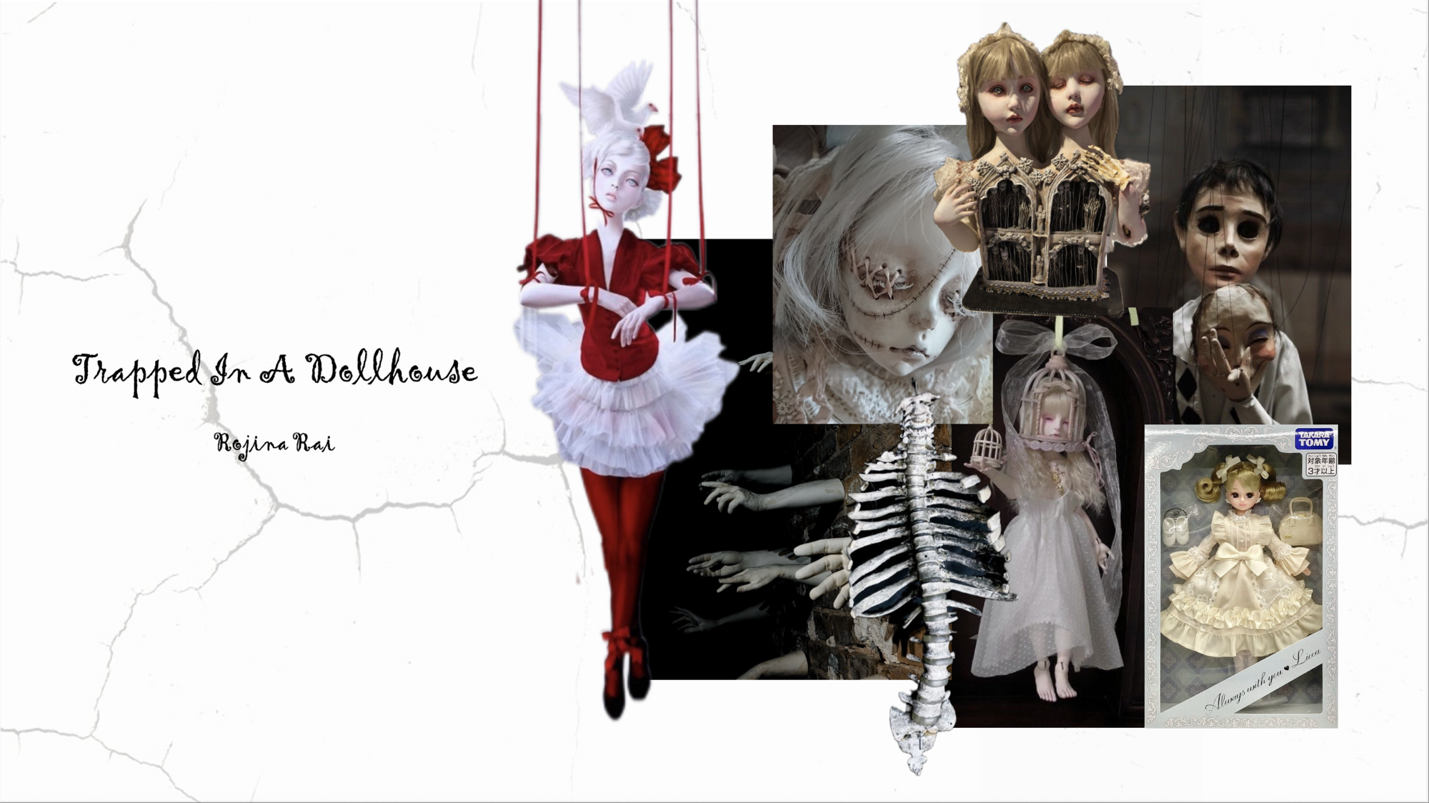 User Rojina project image one