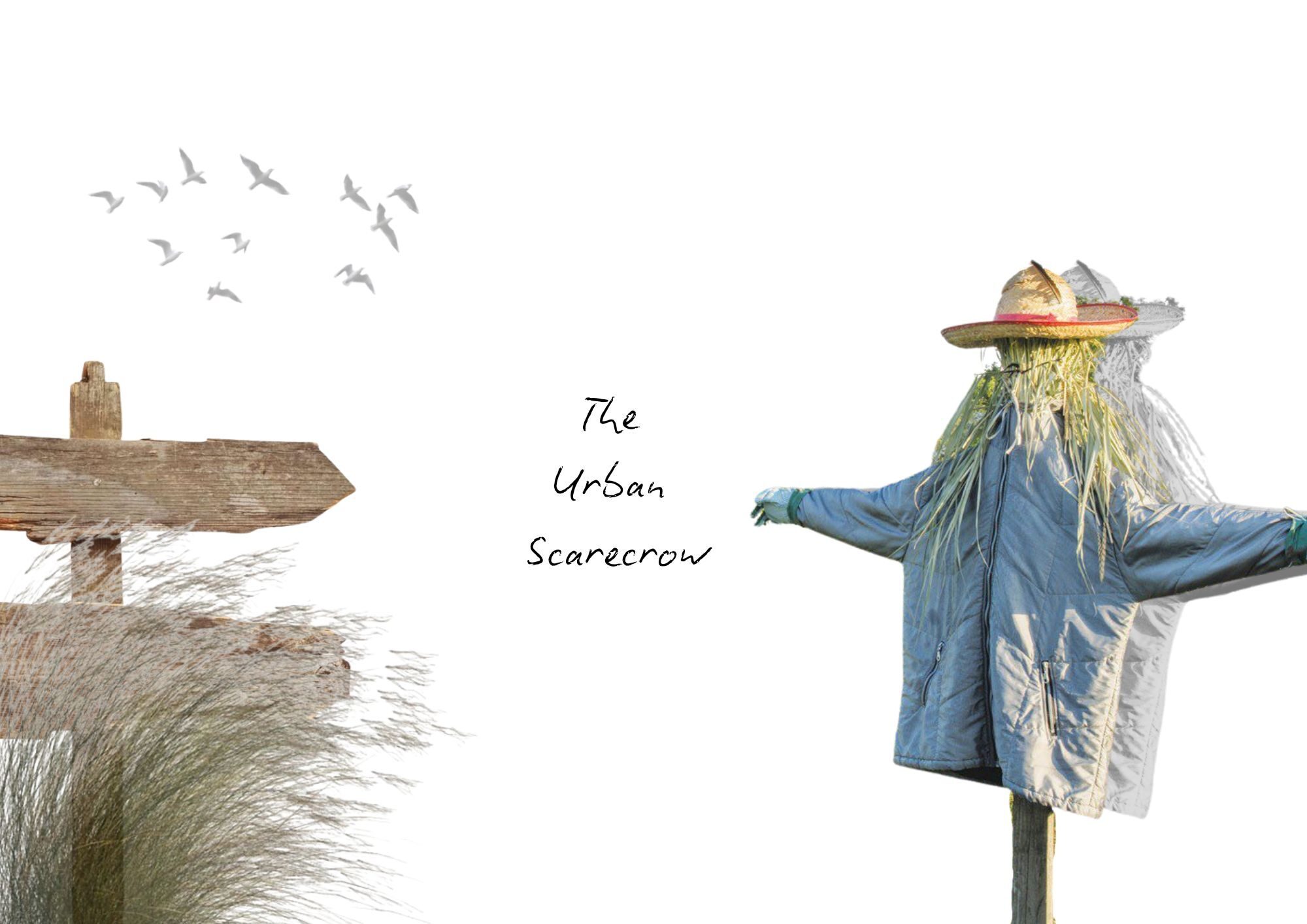 User Carolin project image one
