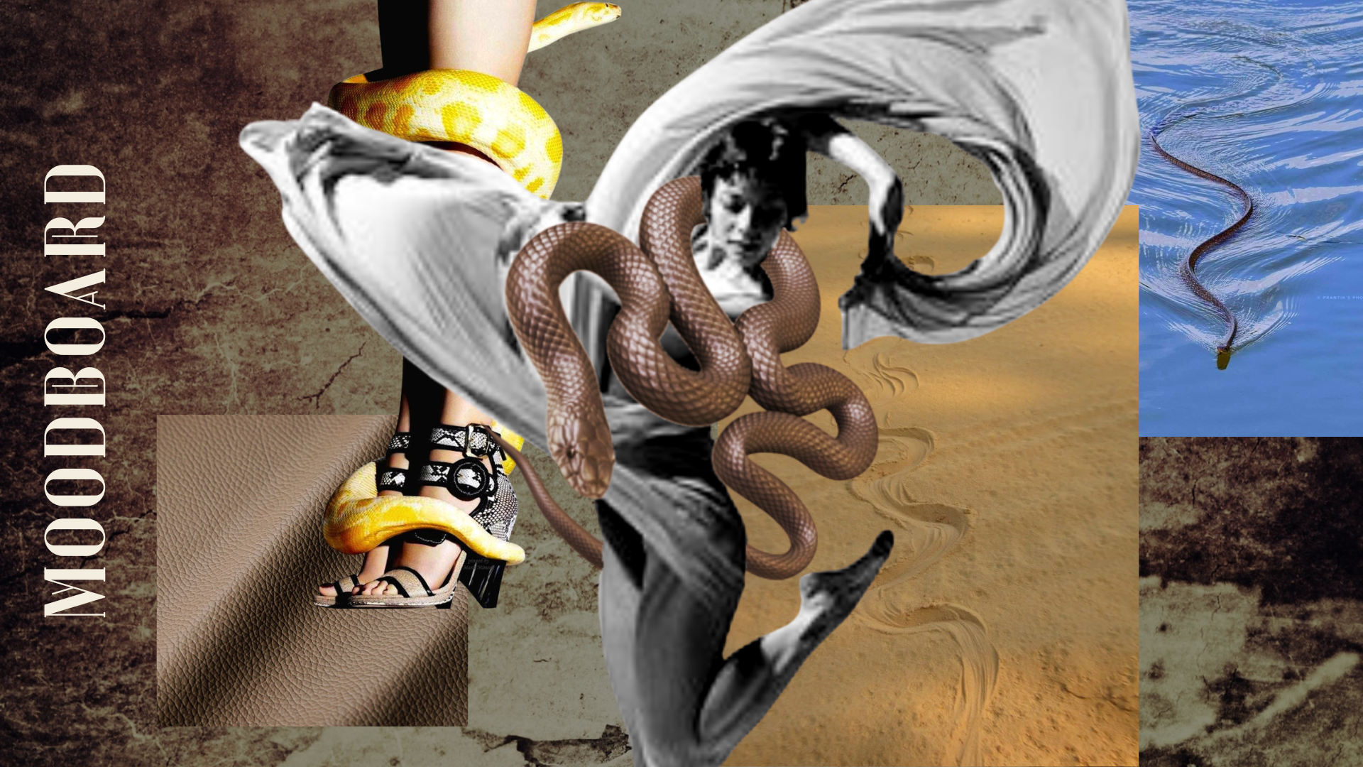 User Ngân project image two