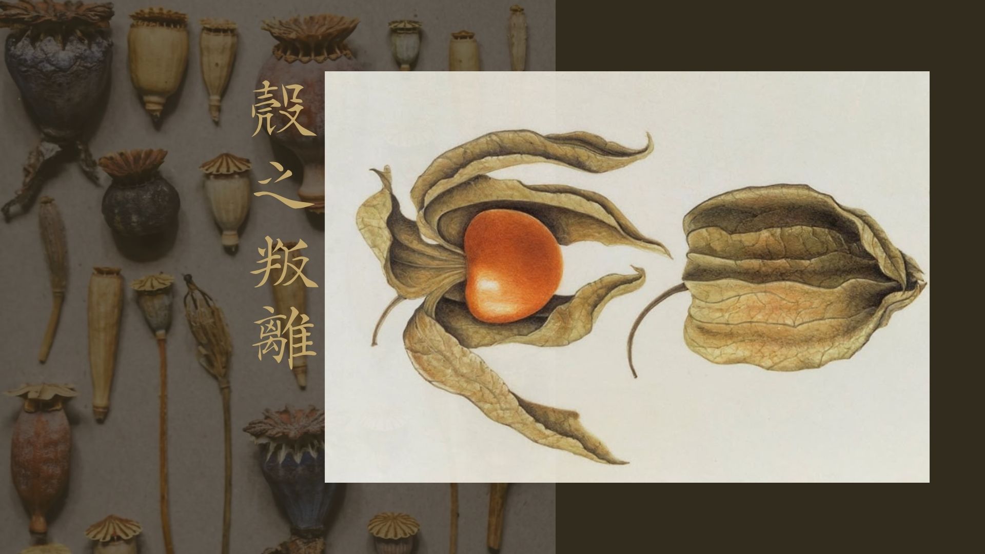 User JEN-HSIN project image one
