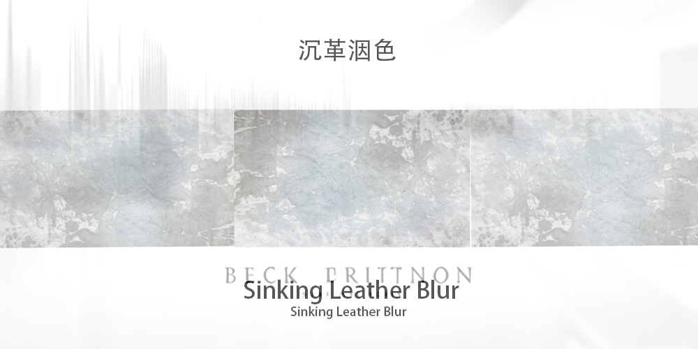 User XiLe Lu project image one