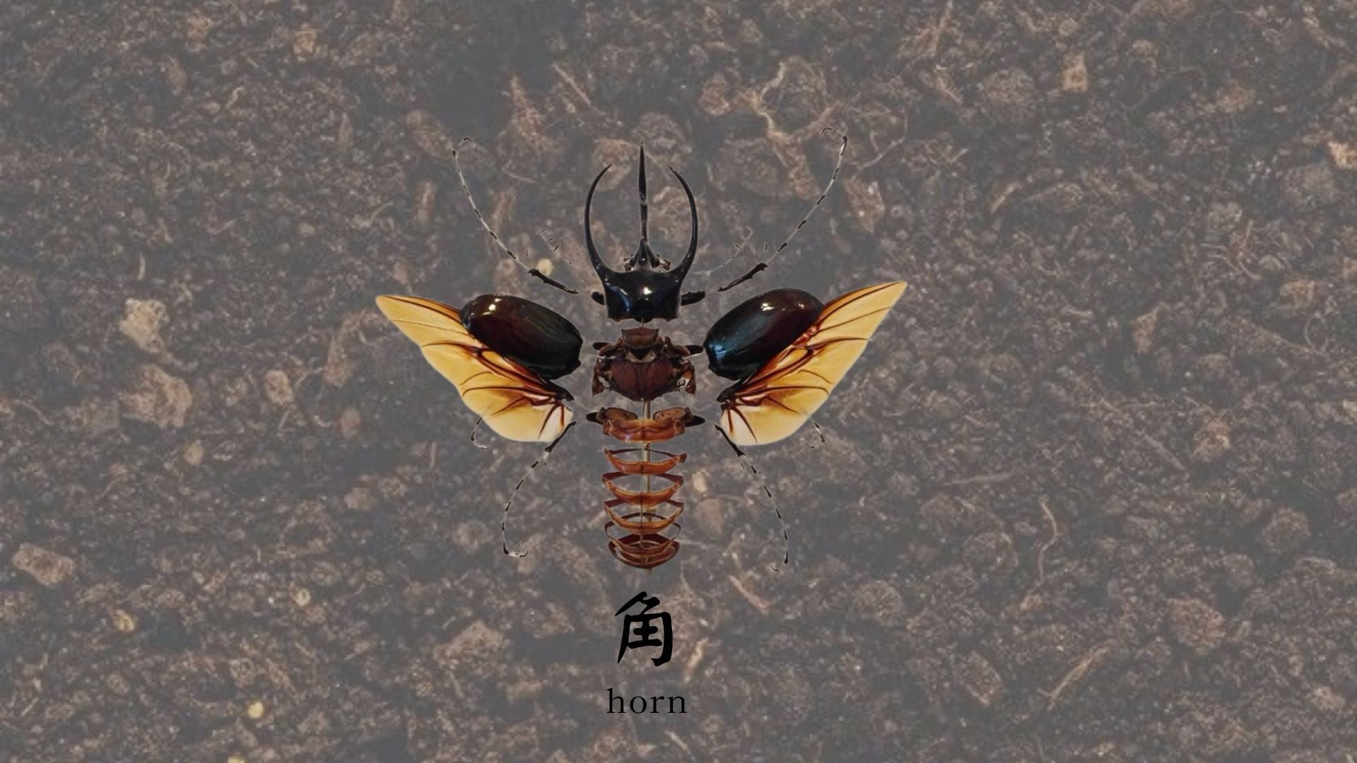 User BOREN project image one